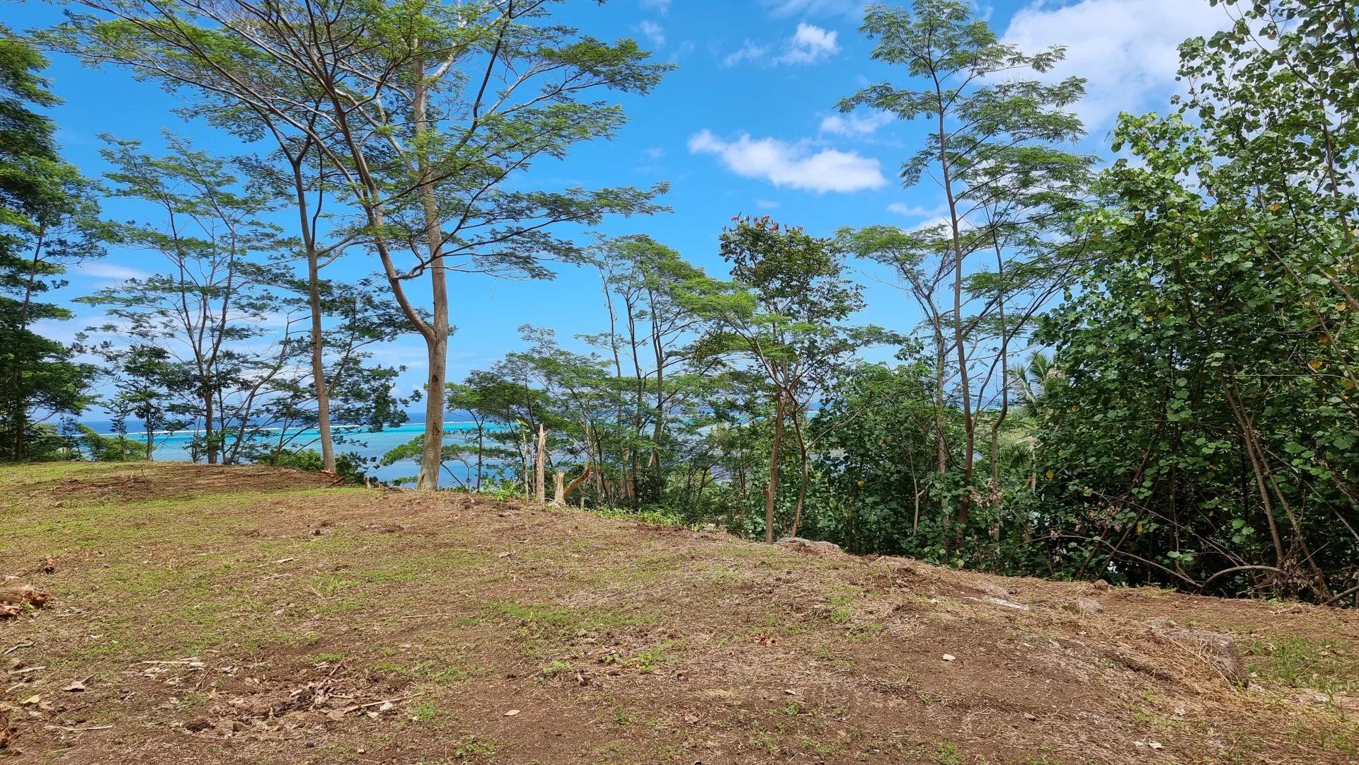 Jord i Papeete, Îles du Vent 12862382