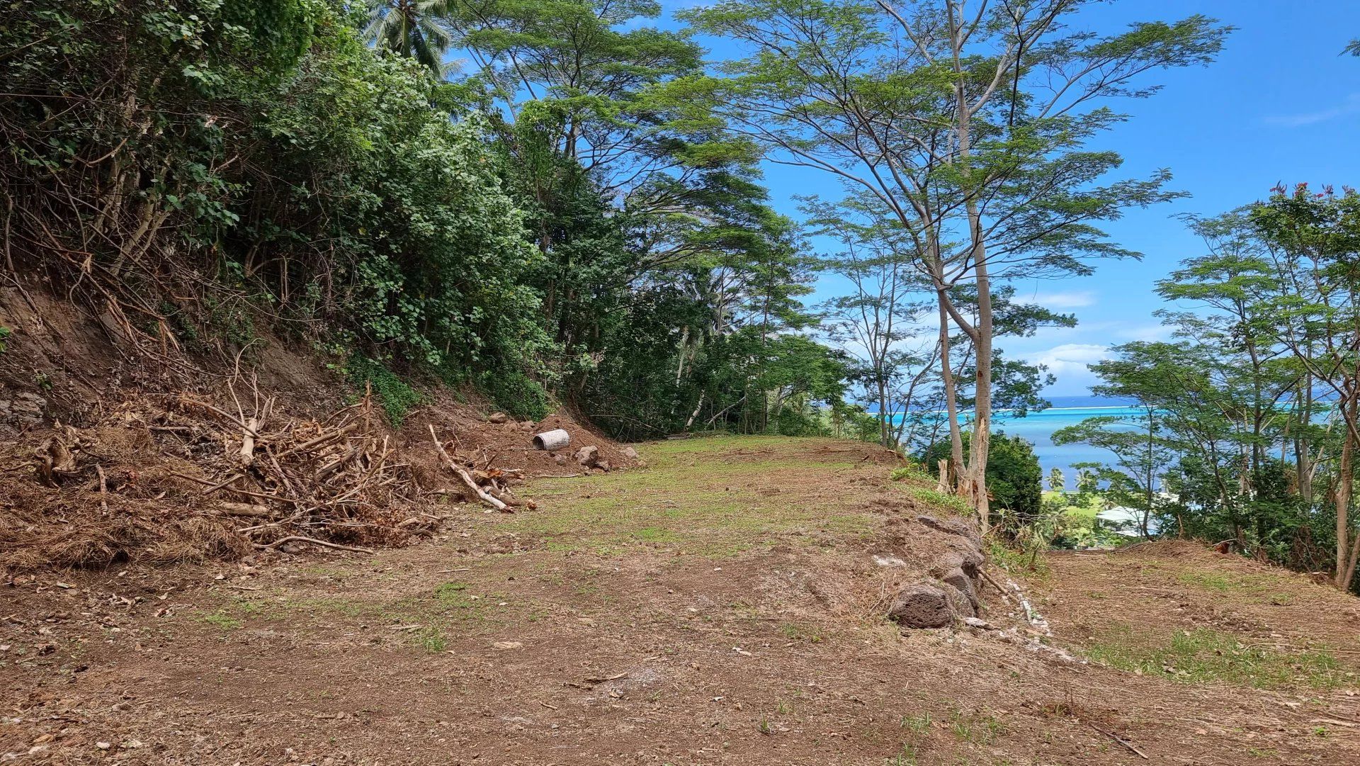 Jord i Papeete, Îles du Vent 12862382