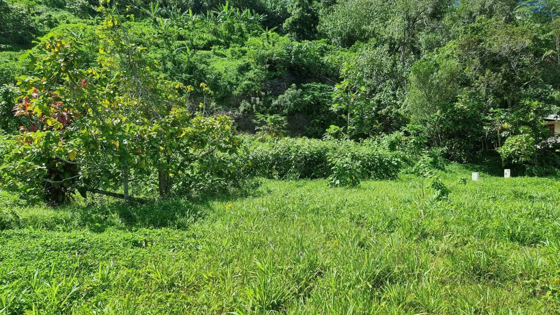 Tierra en Moorea-Maiao, Îles du Vent 12862383