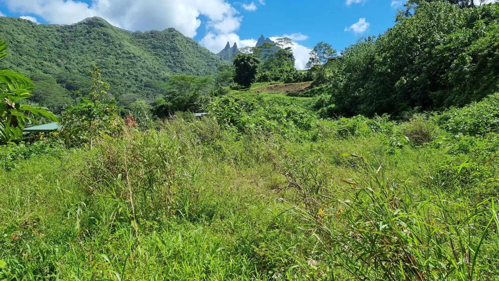 Comercial no Moorea-Maiao, Îles du Vent 12862383