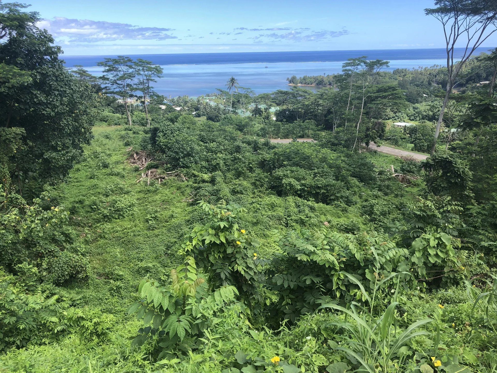 土地 在 Moorea-Maiao, Îles du Vent 12862384