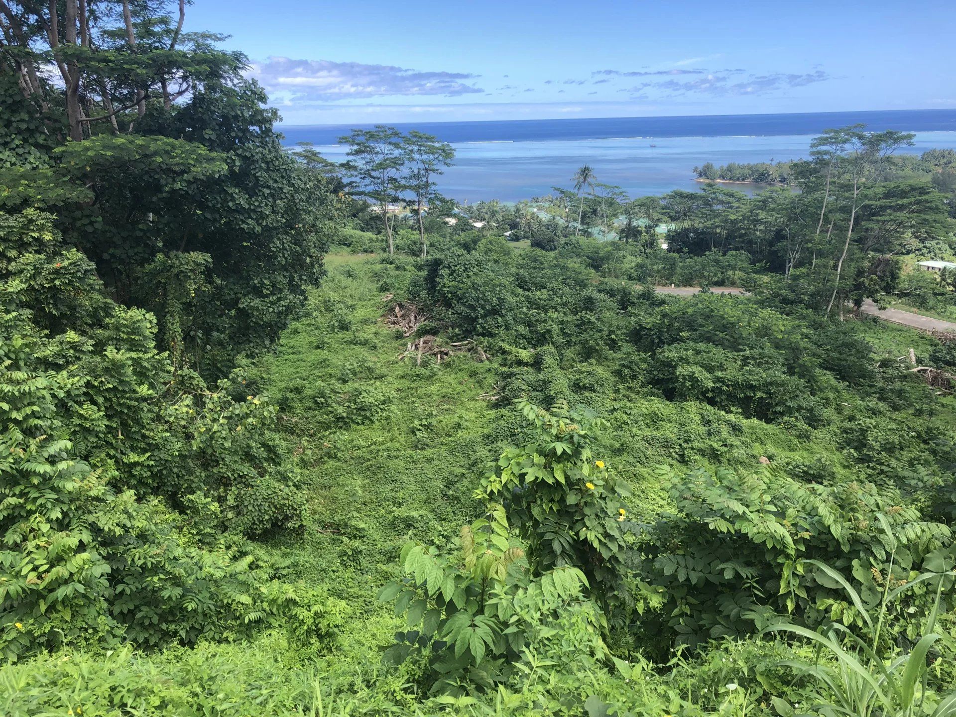 Comercial no Moorea-Maiao, Îles du Vent 12862384