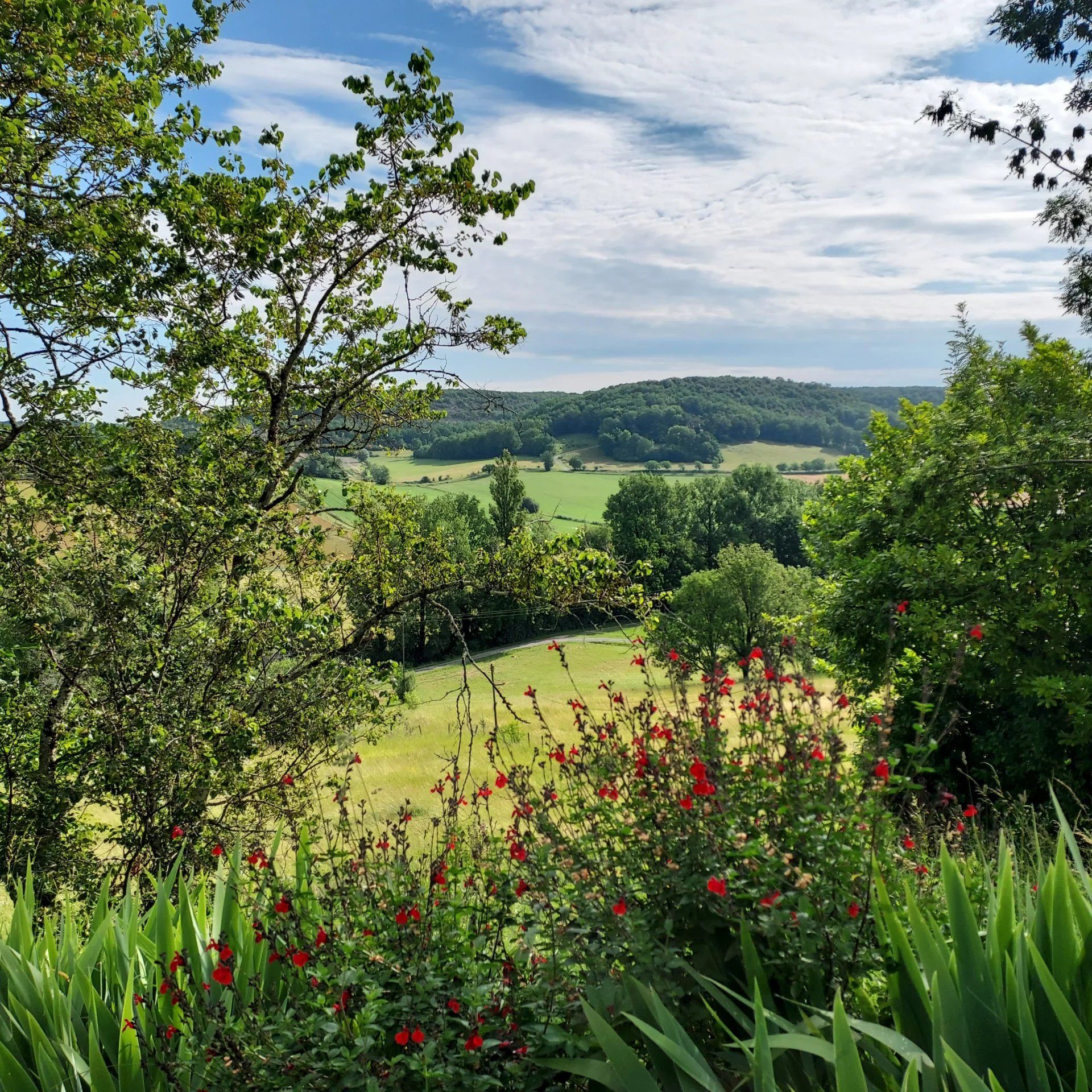 Huis in Tournon-d'Agenais, Lot-et-Garonne 12862393