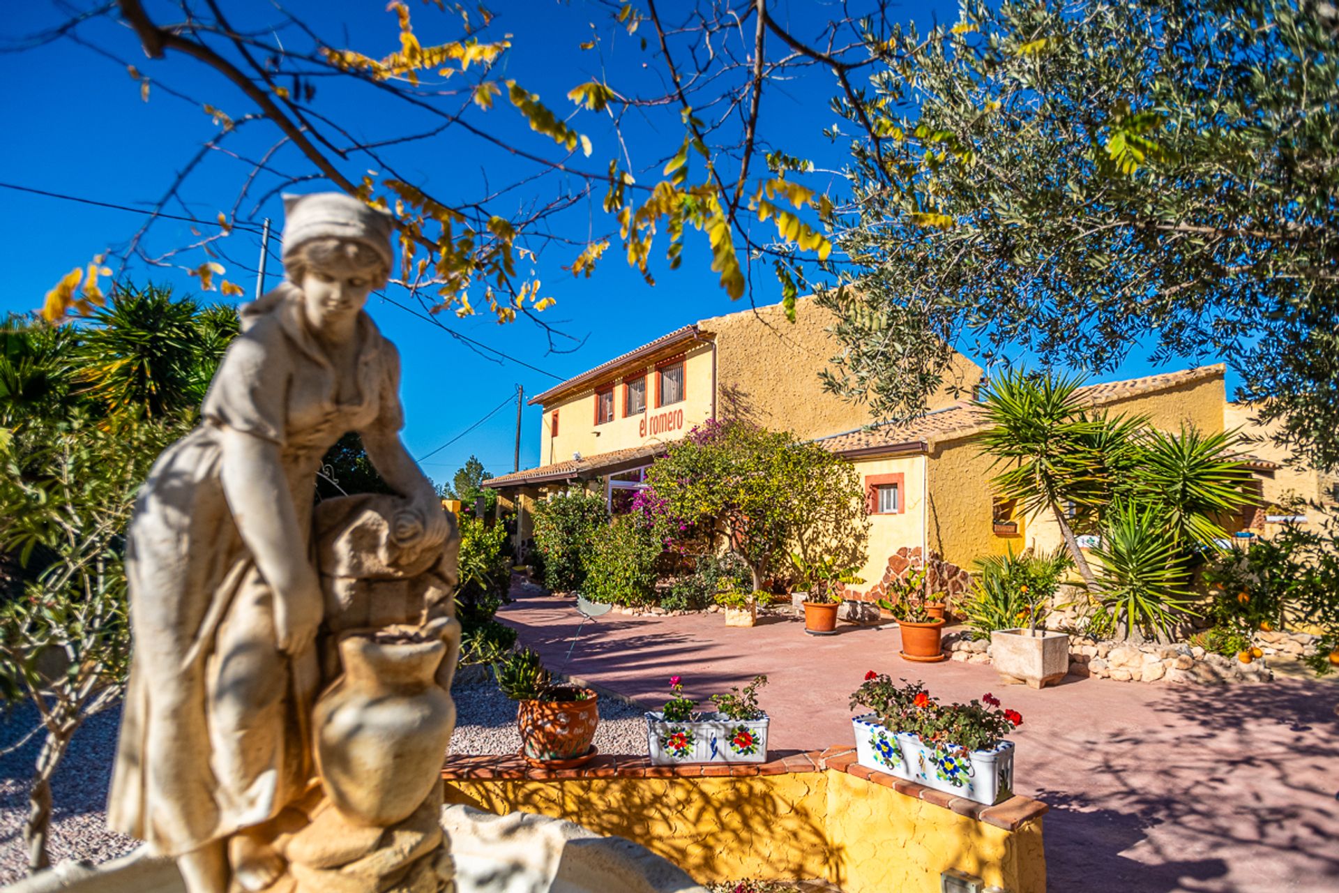 土地 在 El Fondó de les Neus, Valencian Community 12862603