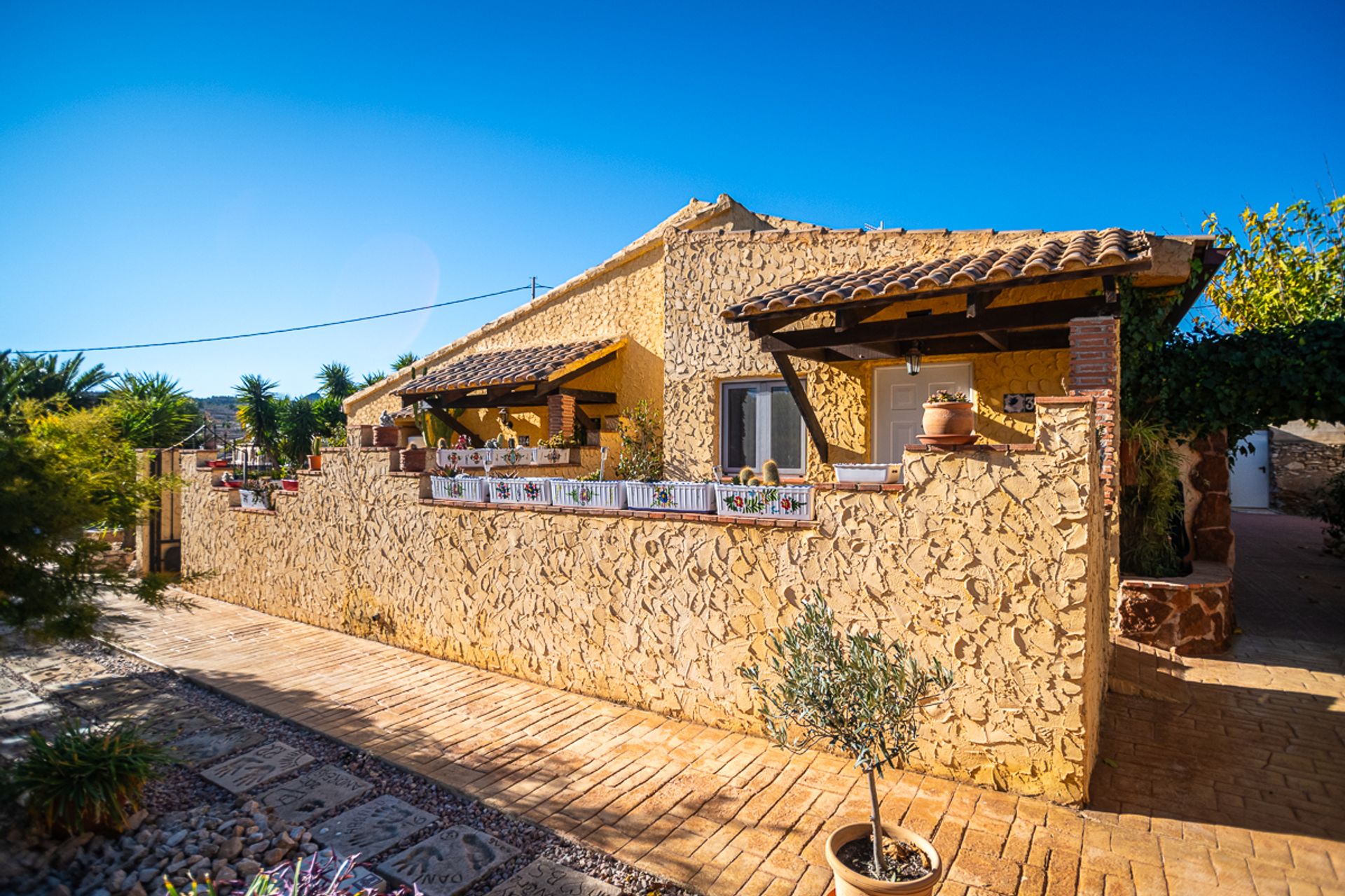 土地 在 El Fondó de les Neus, Valencian Community 12862603