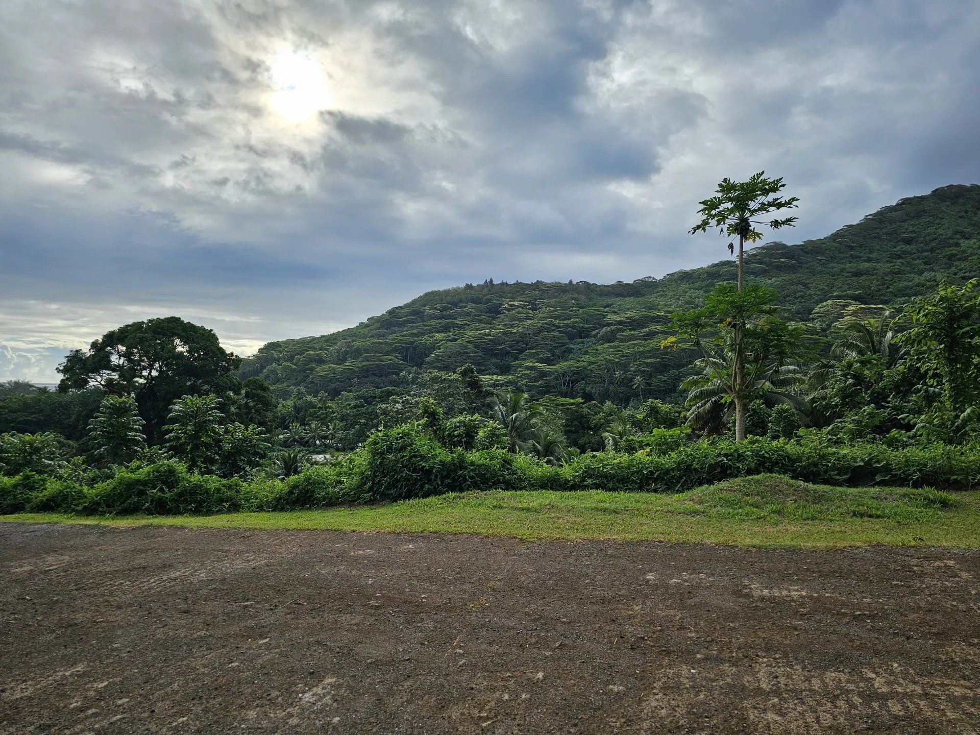 Terra no Moorea-Maiao, Îles du Vent 12862988