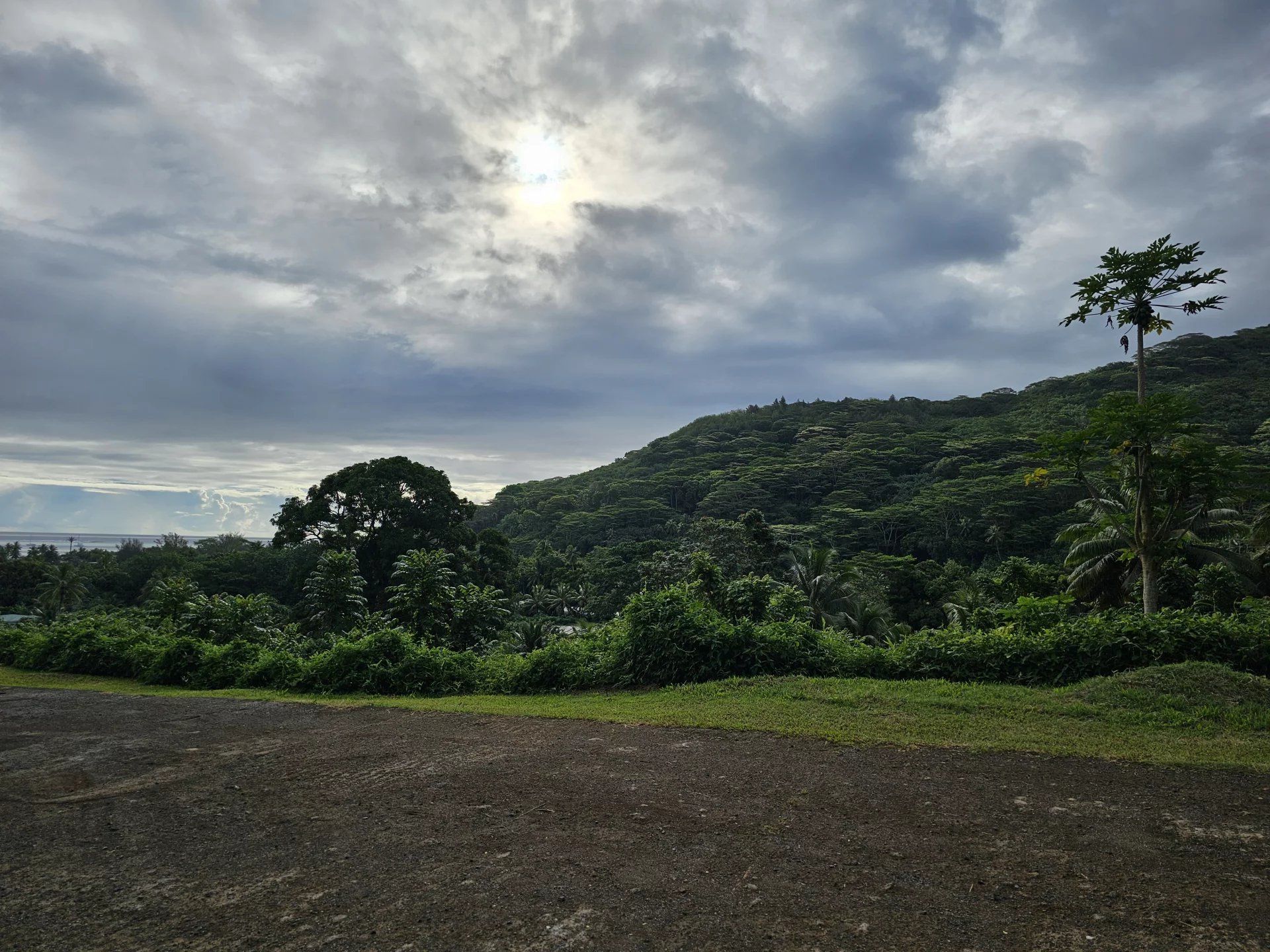 Terra no Moorea-Maiao, Îles du Vent 12862988