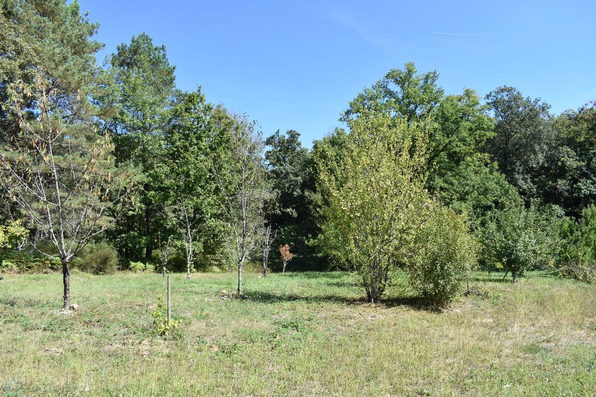 Autre dans Rouffignac-Saint-Cernin-de-Reilhac, Nouvelle-Aquitaine 12863065