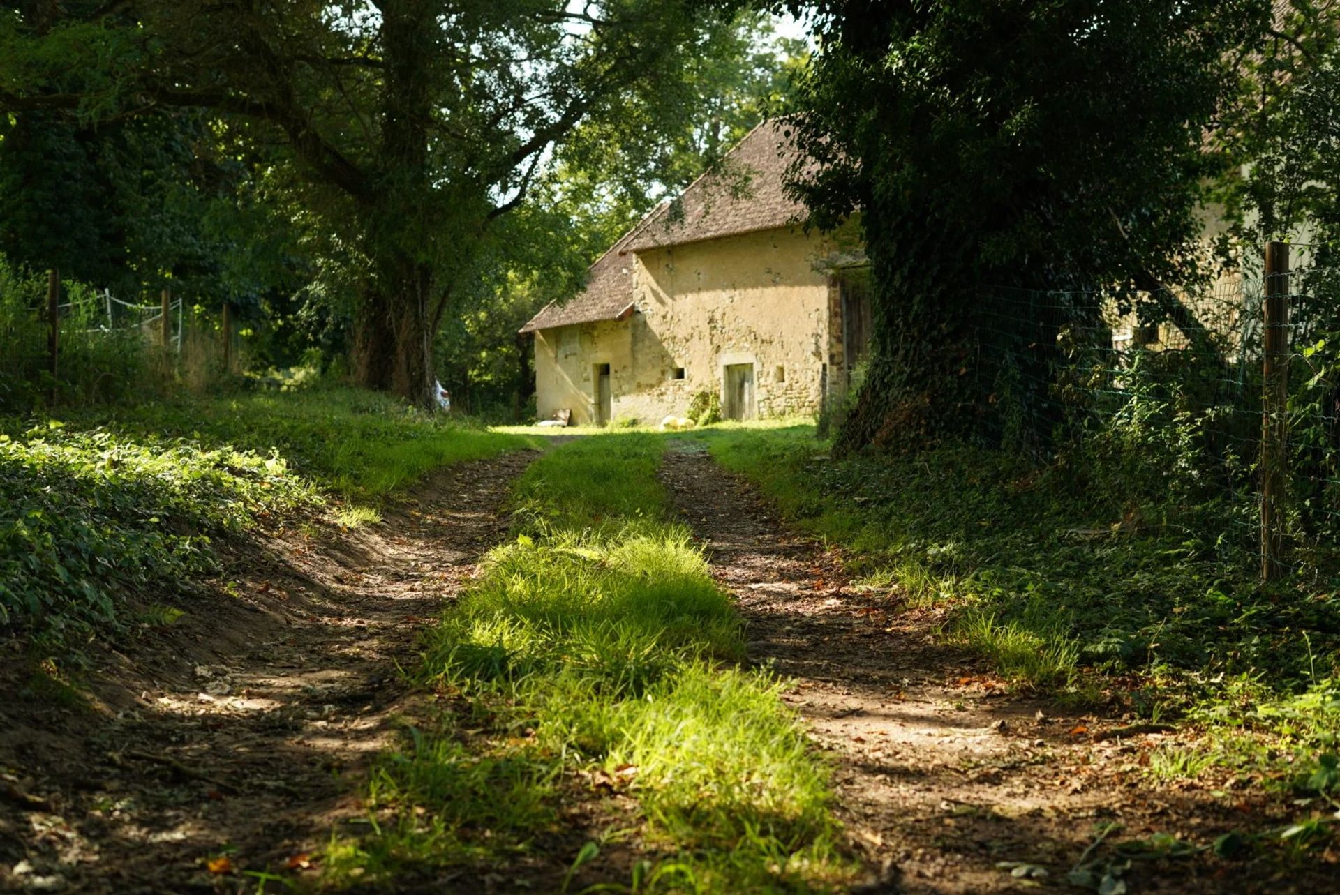 Haus im Rouy, Burgund-Franche-Comté 12863270