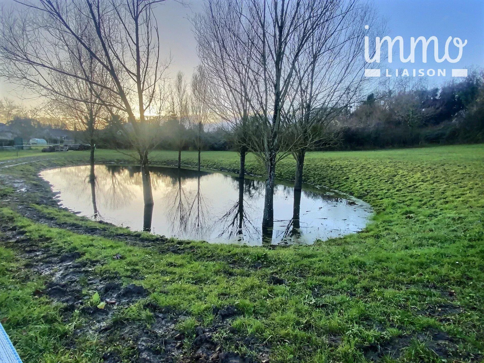 निवास का में Veuzain-sur-Loire, Loir-et-Cher 12863330