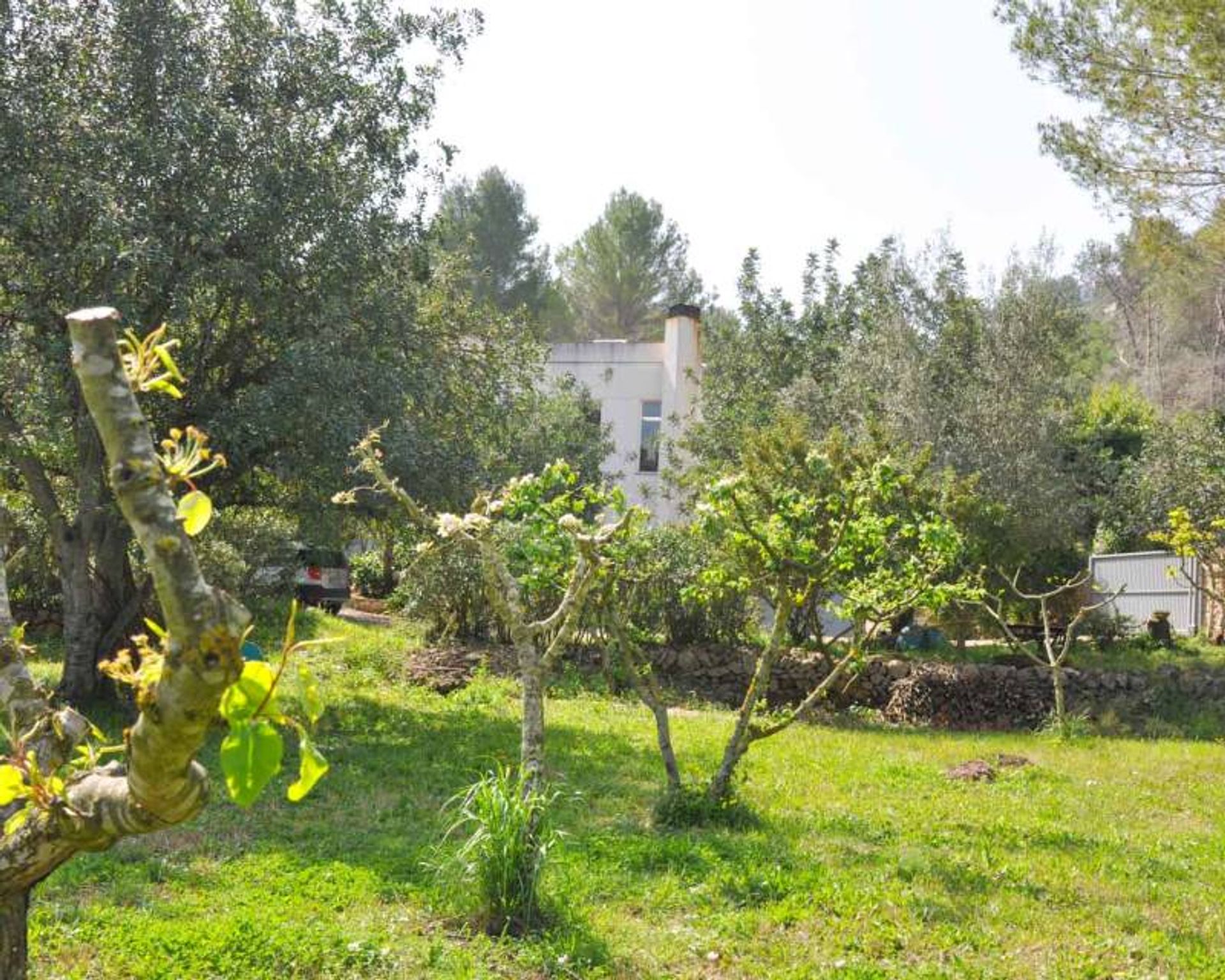 Casa nel Jesus Pobre, Comunidad Valenciana 12864060