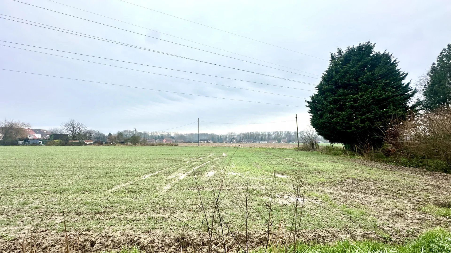 Terra no Fretin, Altos de França 12864451