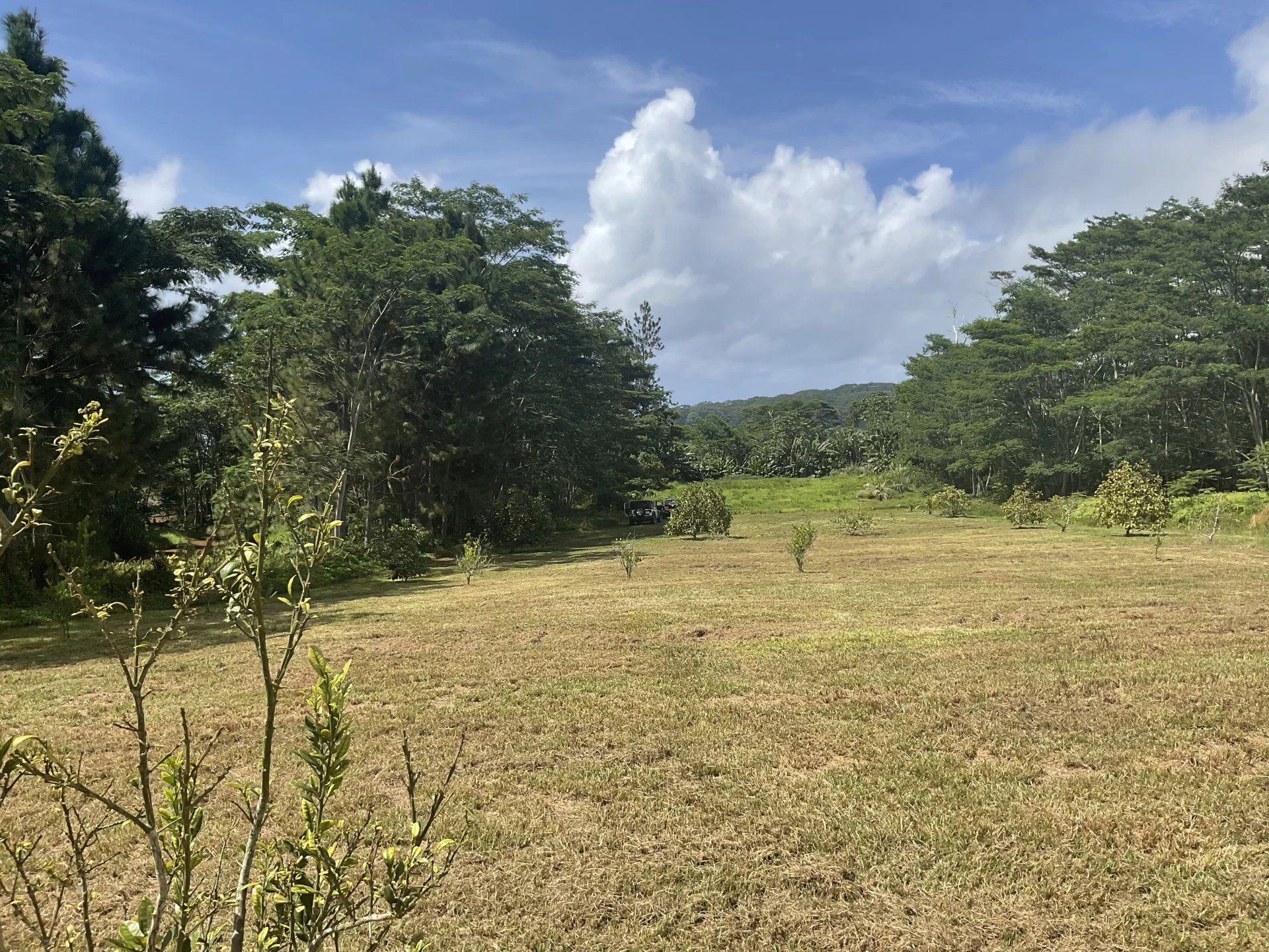 Land in Fatau, Iles du Vent 12864467