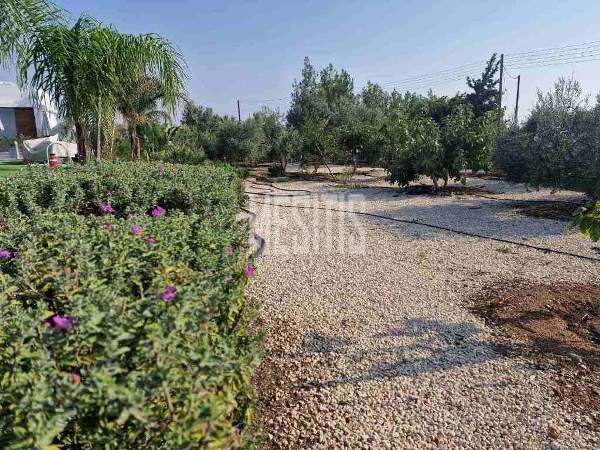 loger dans Kato Deftera, Lefkosia 12864699