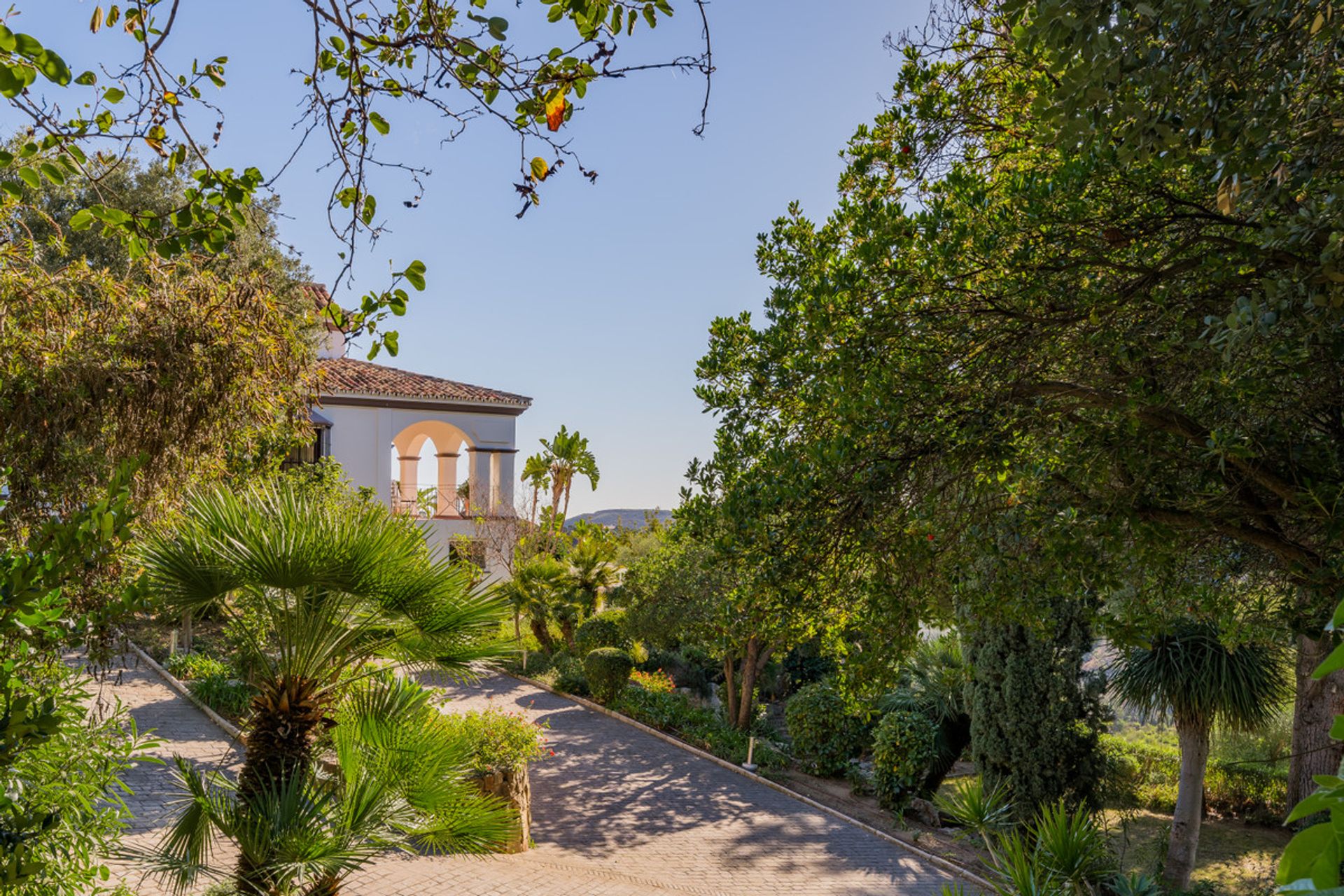 жилой дом в Benahavís, Andalusia 12865332