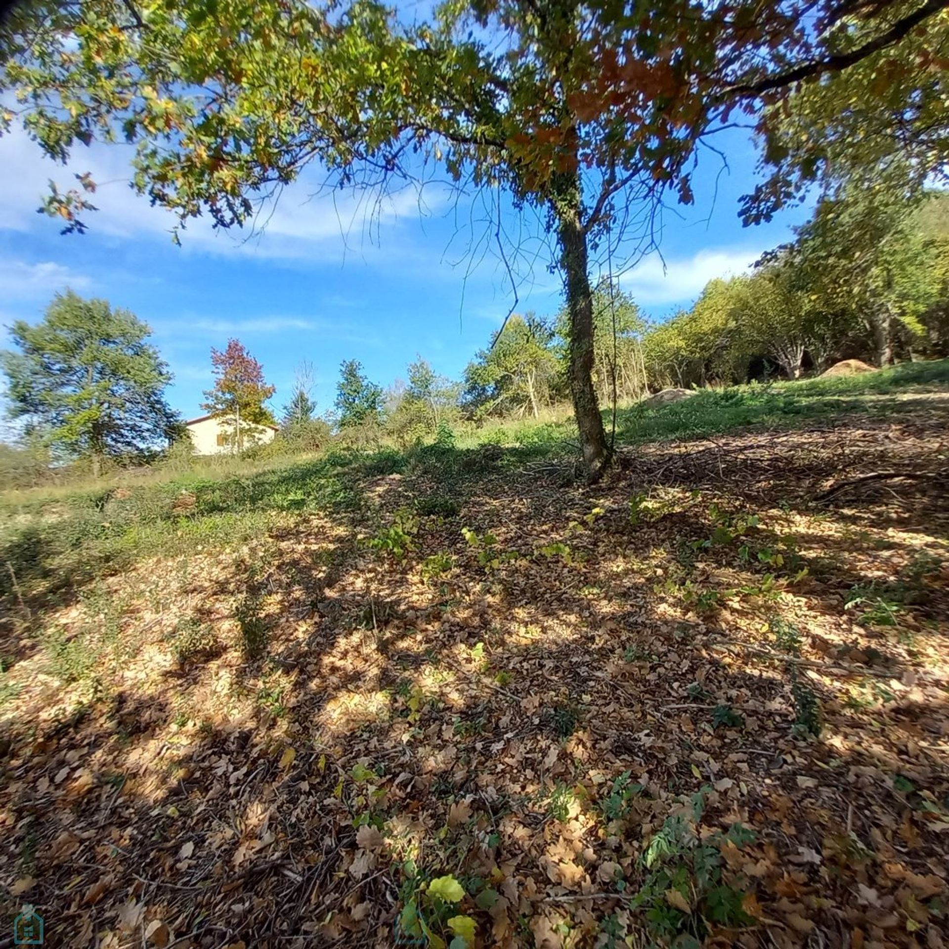 Autre dans Thiers, Auvergne-Rhône-Alpes 12865419