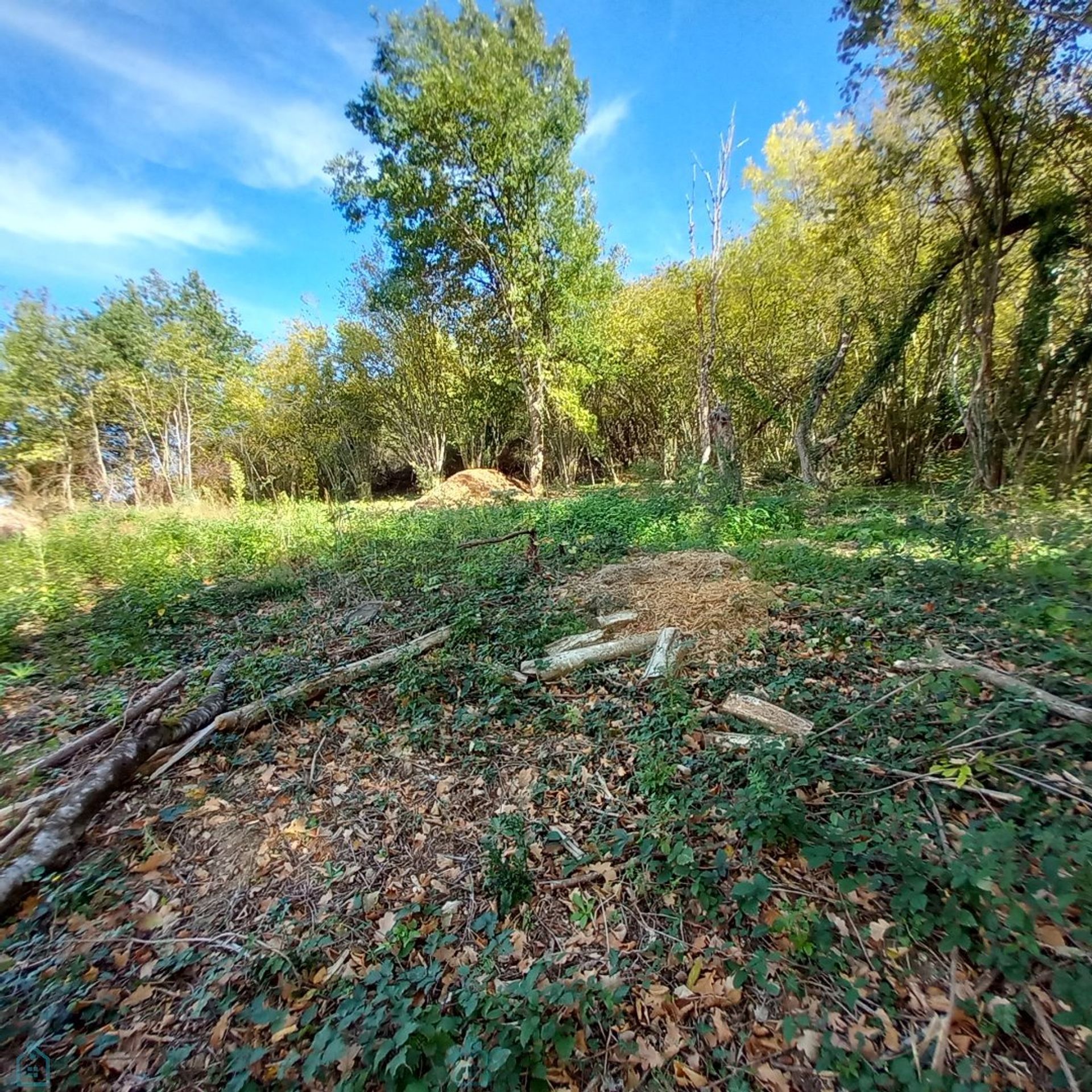 Autre dans Thiers, Auvergne-Rhône-Alpes 12865419