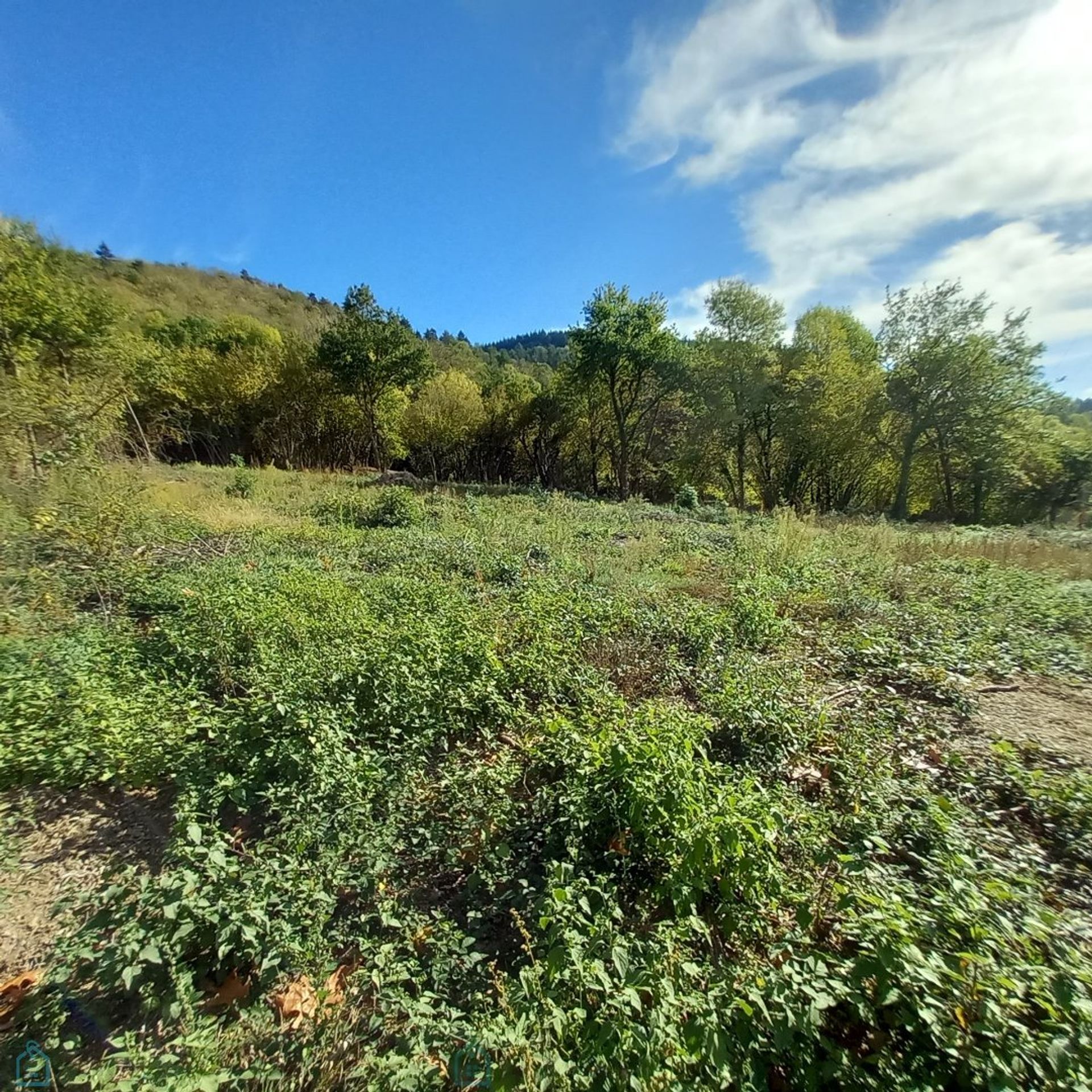 Autre dans Thiers, Auvergne-Rhône-Alpes 12865419