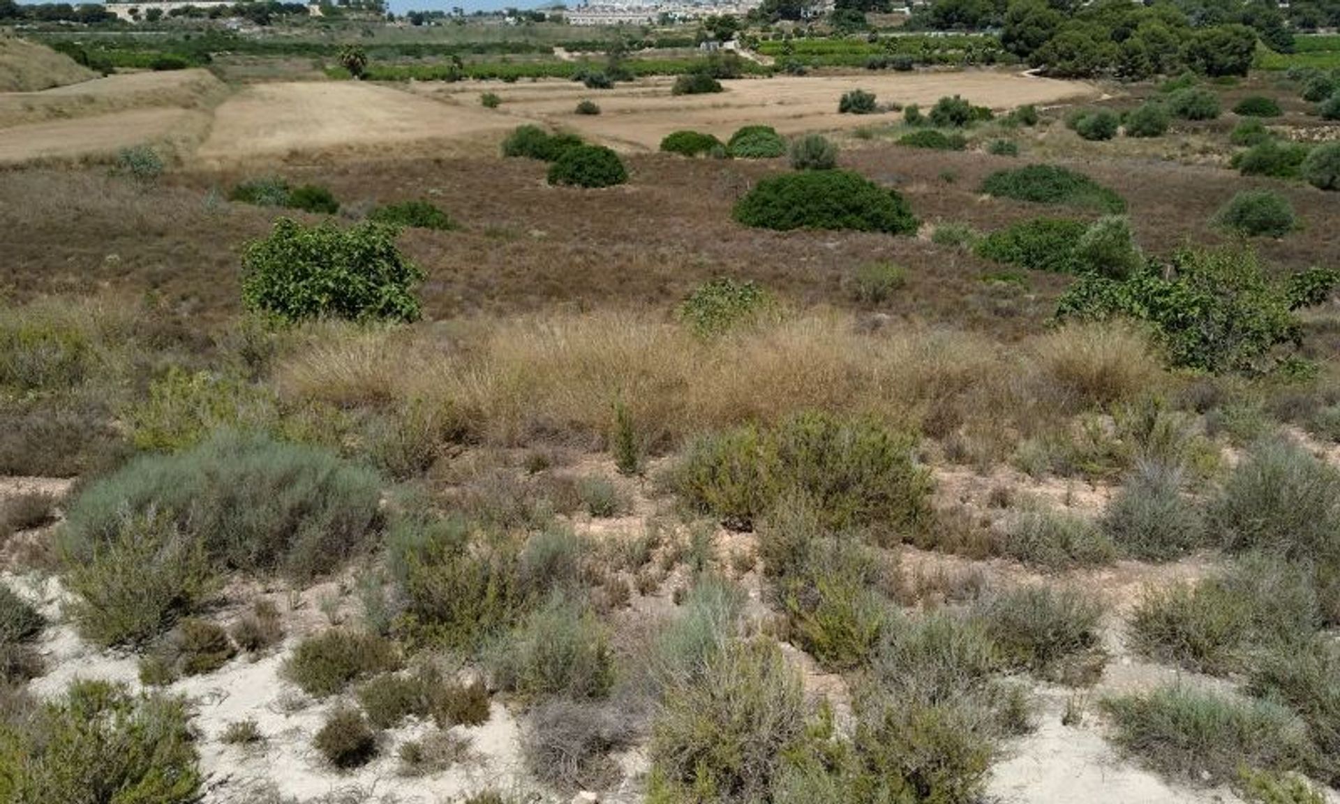 Casa nel Casas Nuevas, Murcia 12865989