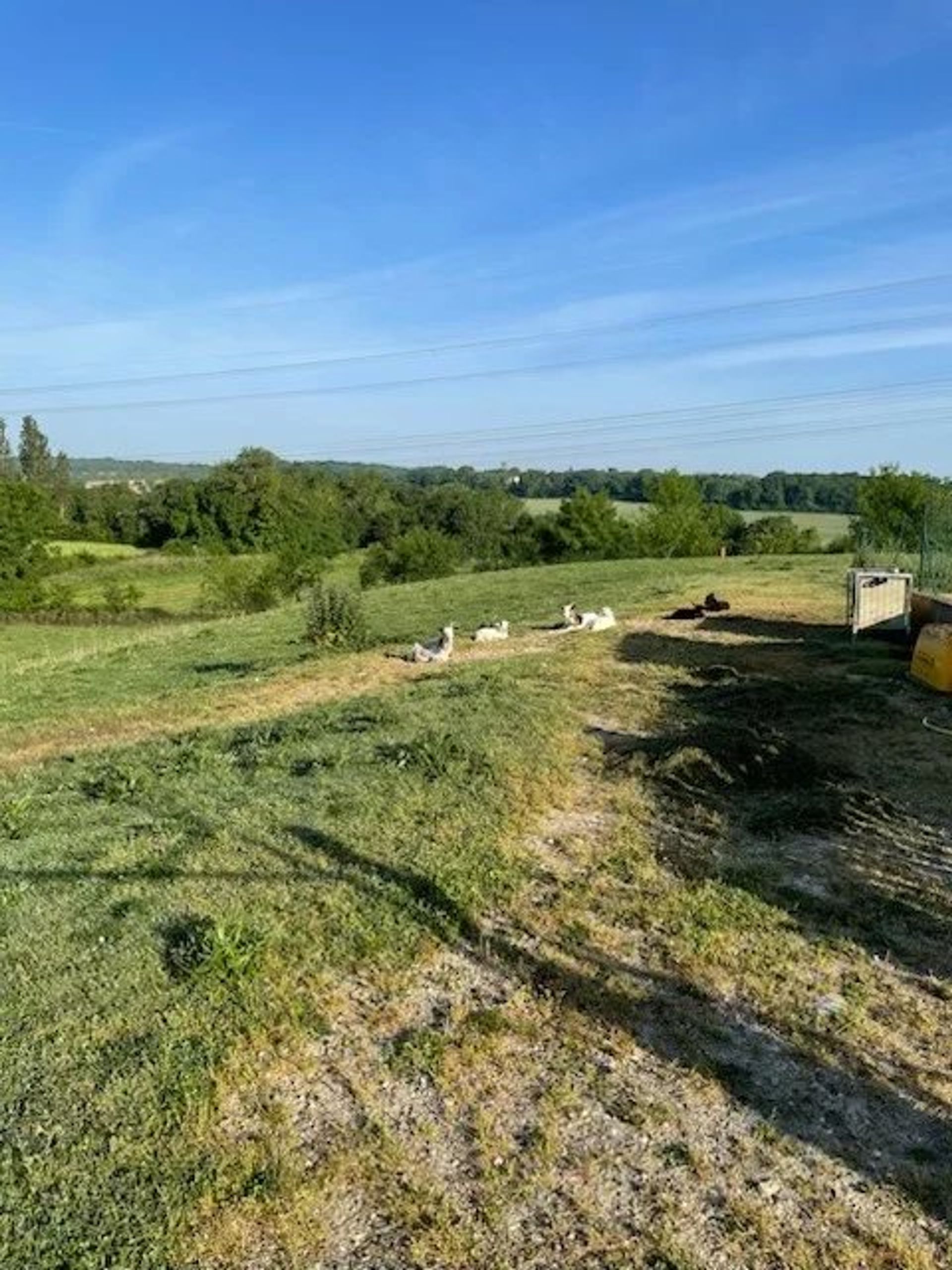 жилой дом в Bérat, Haute-Garonne 12866022