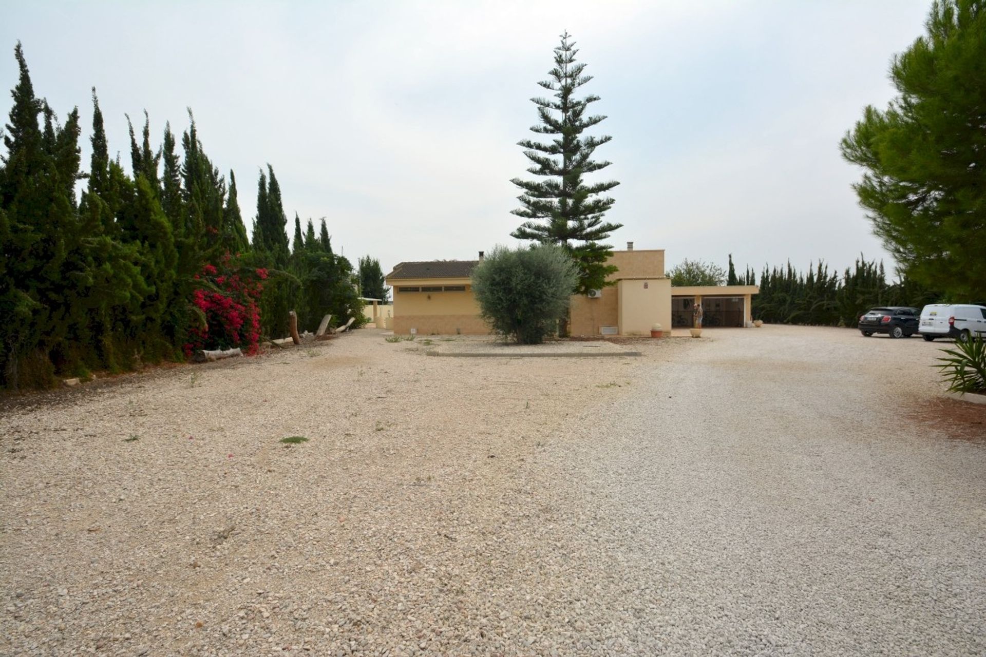 Hus i Almoradí, Valencian Community 12867359