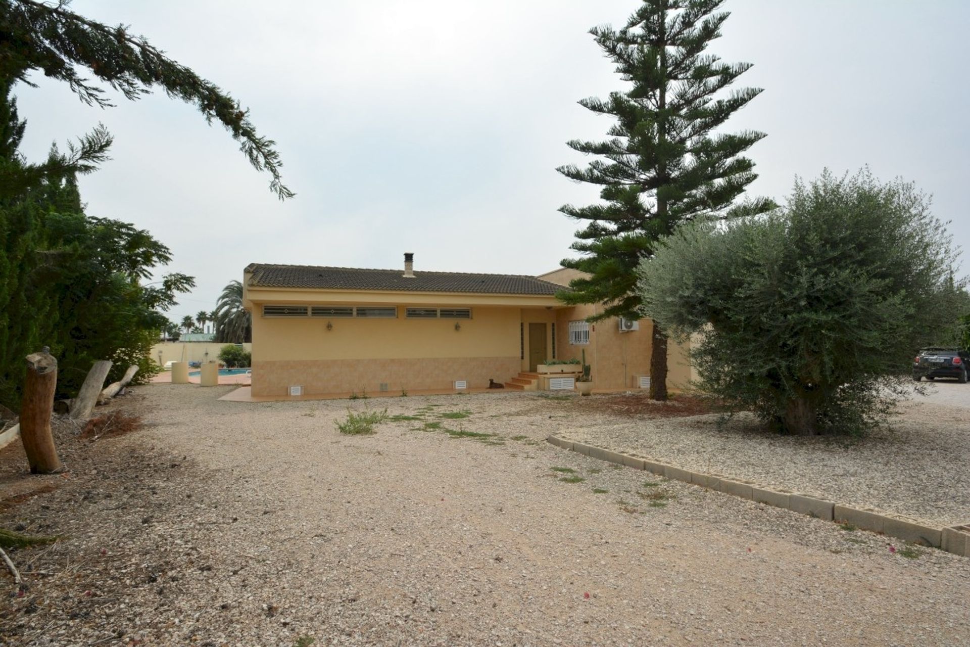 Hus i Almoradí, Valencian Community 12867359