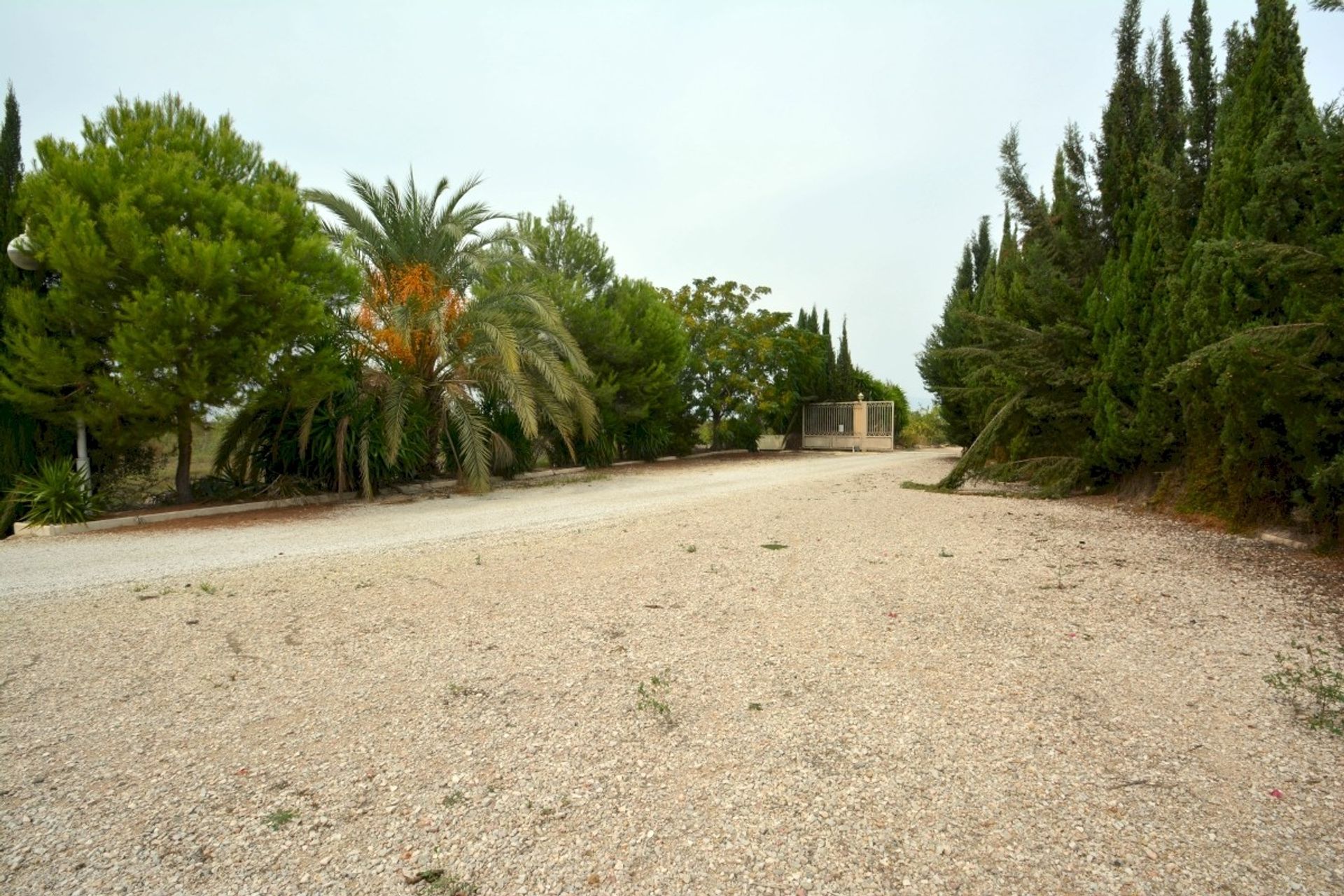 Hus i Almoradí, Valencian Community 12867359