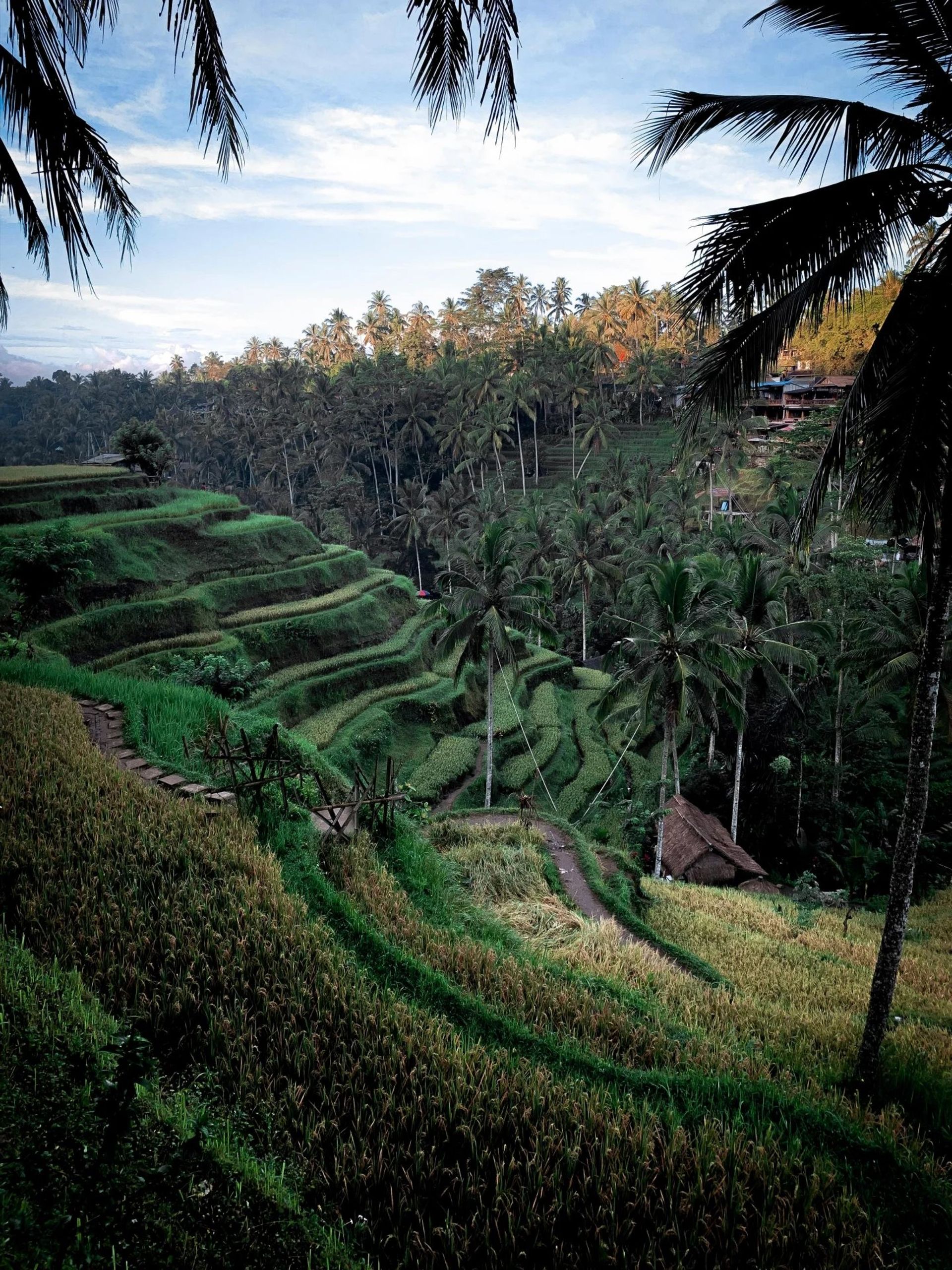 Rumah di Gianyar, Bali 12867637