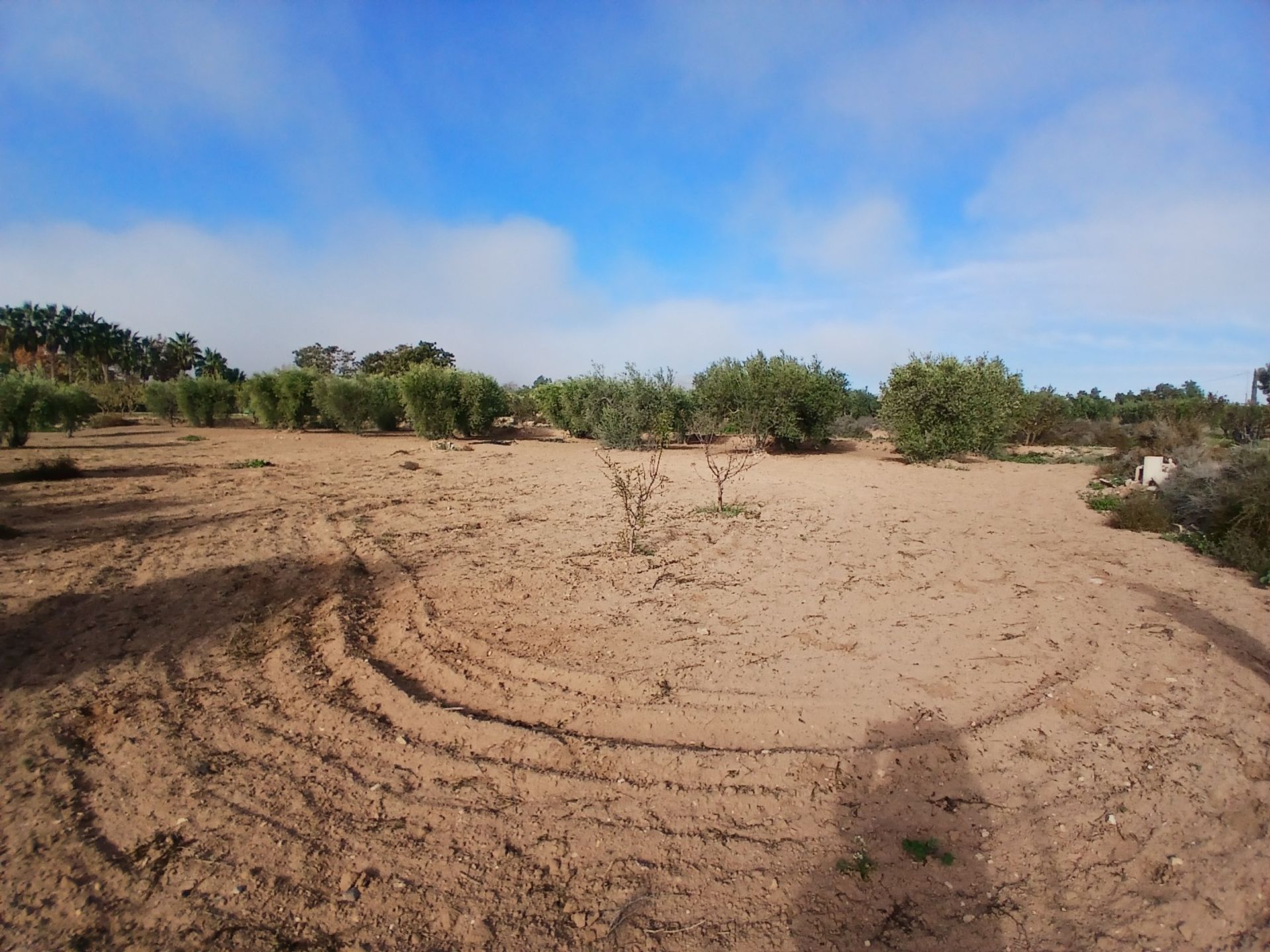 집 에 Jumilla, Región de Murcia 12868554