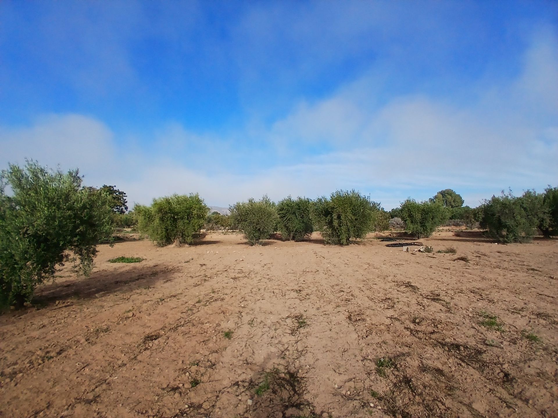 집 에 Jumilla, Región de Murcia 12868554