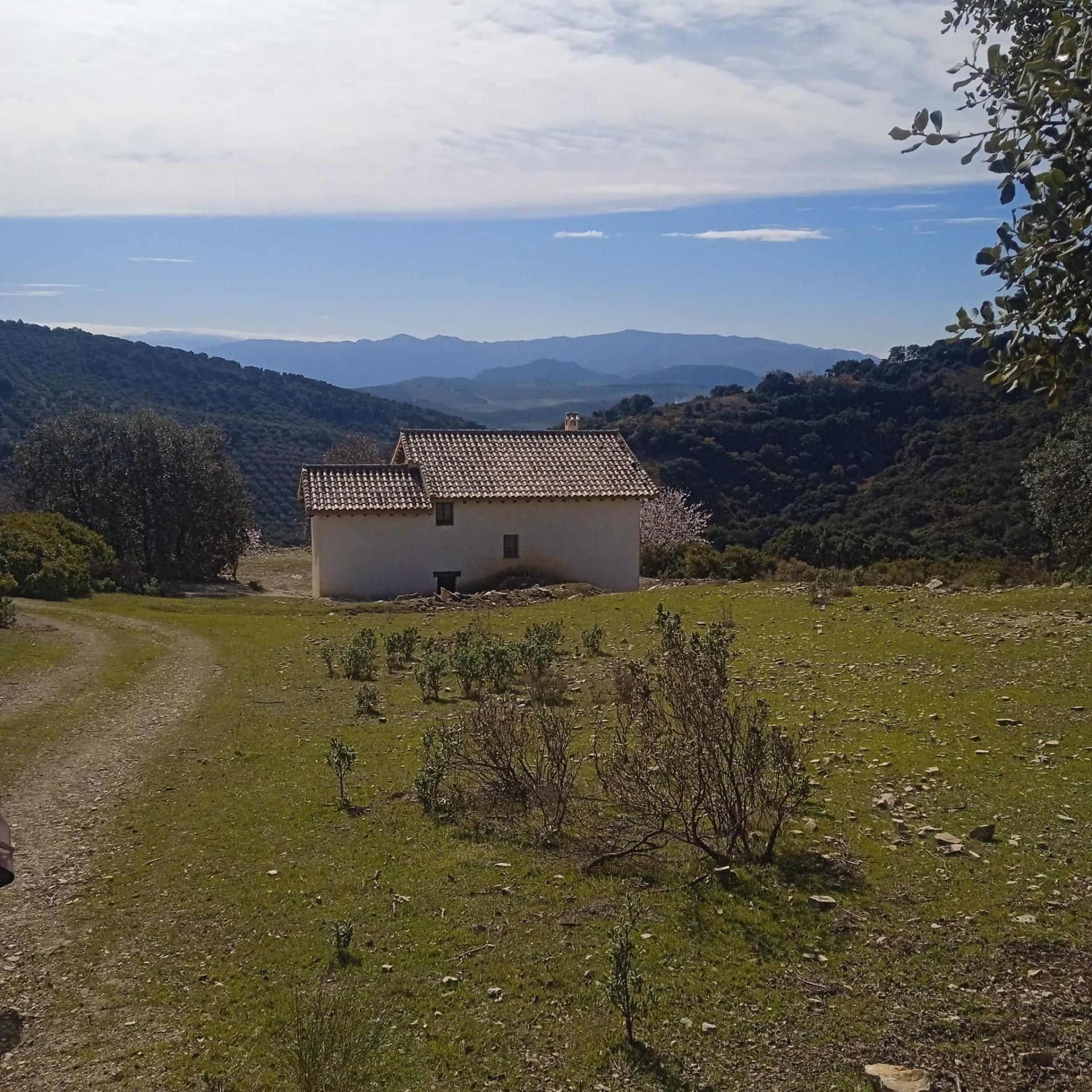 Hus i Montefrio, Andalusien 12868656