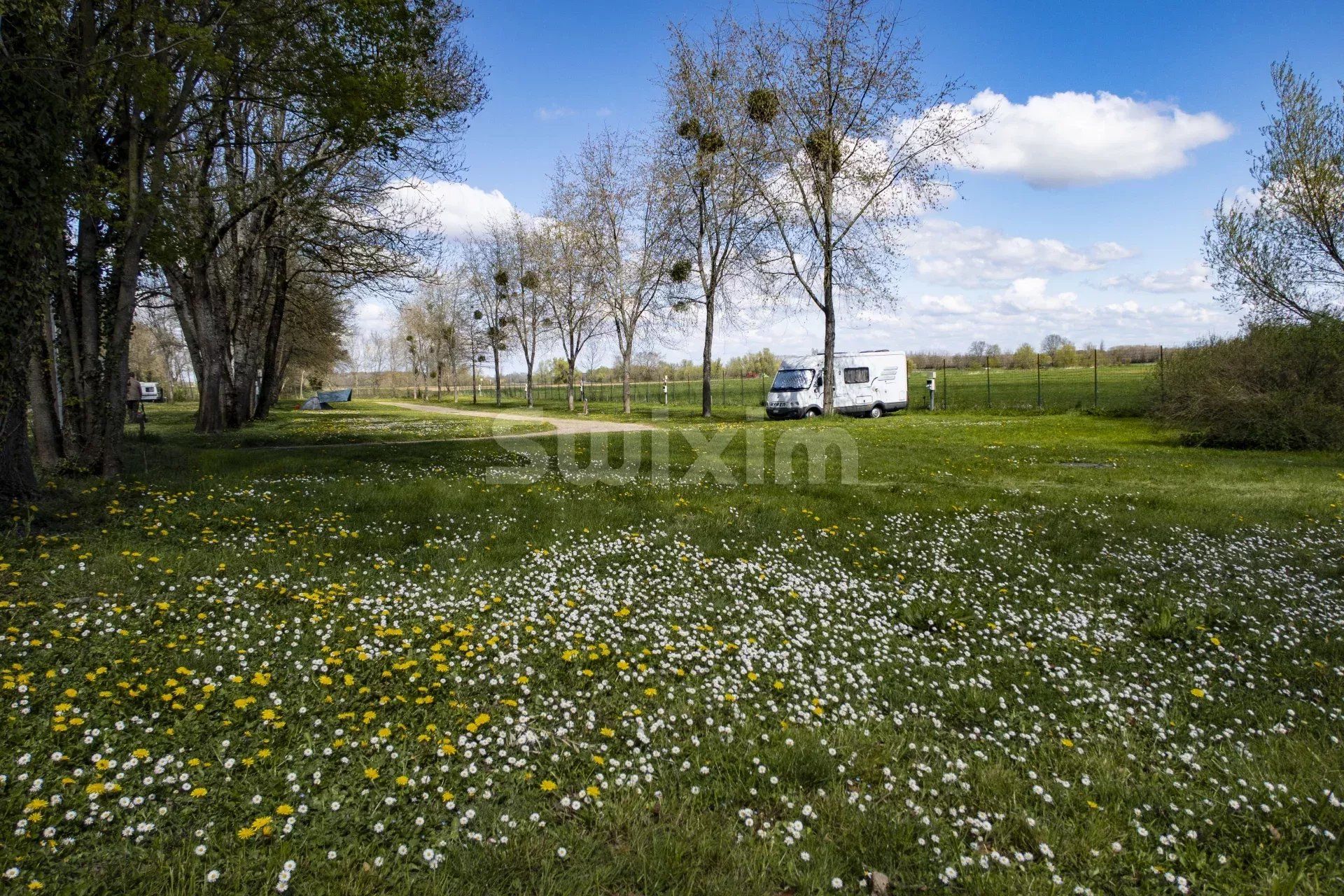 Yang lain dalam Tournus, Saône-et-Loire 12869363