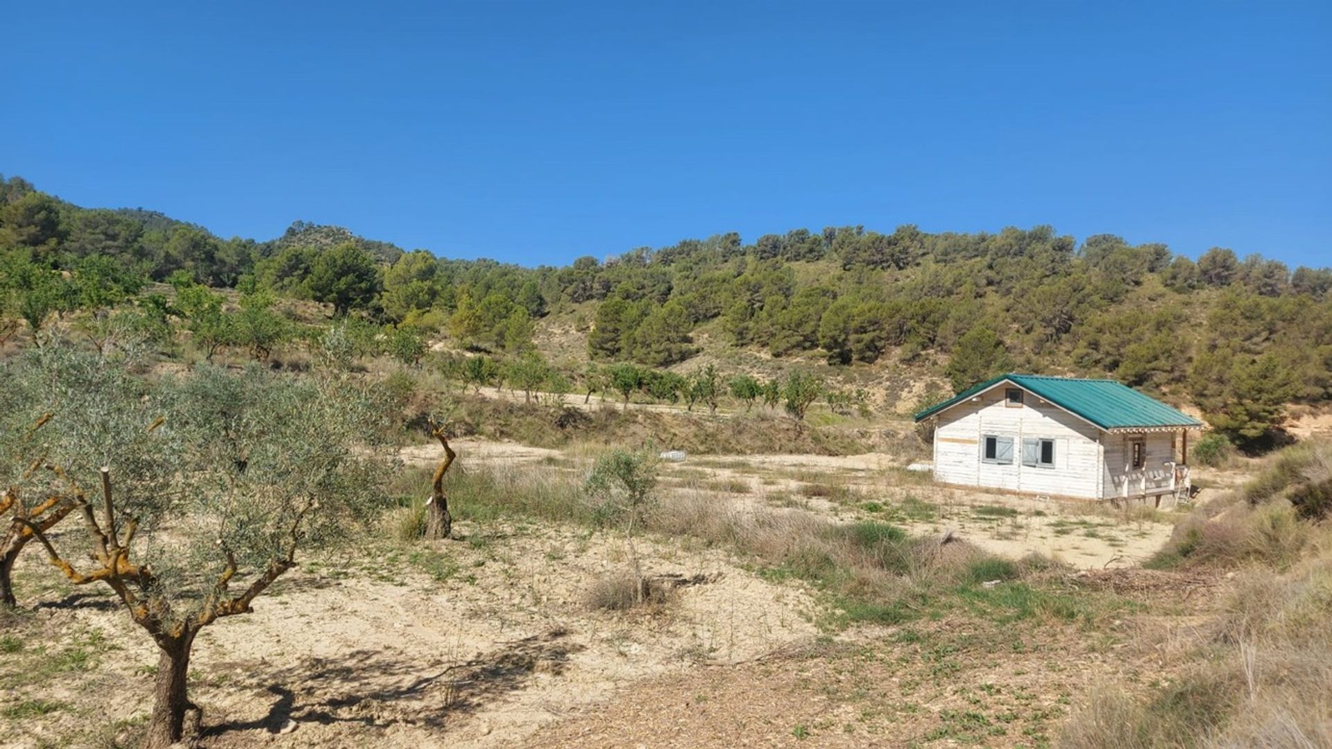 Hus i Jumilla, Región de Murcia 12869960