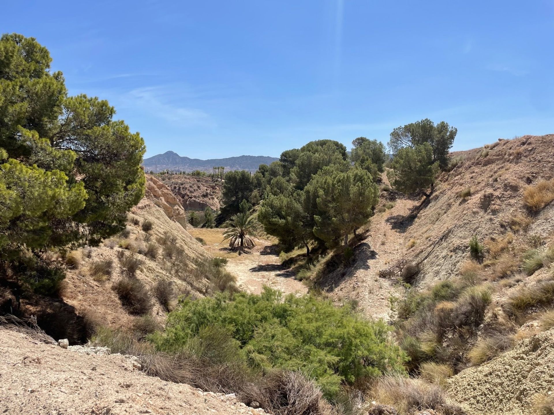 Rumah di Abanilla, Región de Murcia 12870748