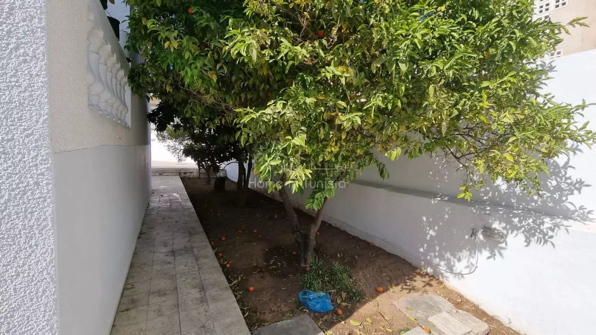 Κατοικητικός σε Cité Jaouhara, Sousse Ville 12871063