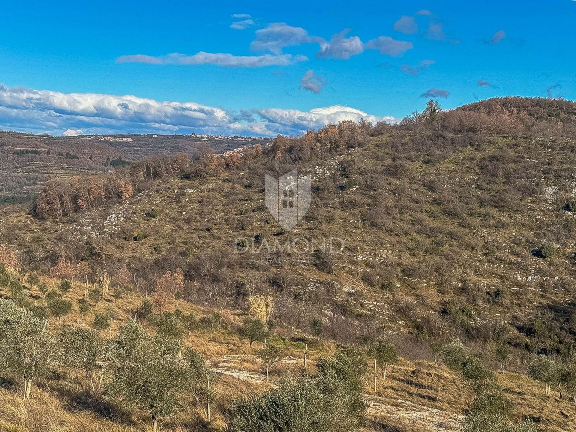 Земля в Святий Петро, Піран 12871244