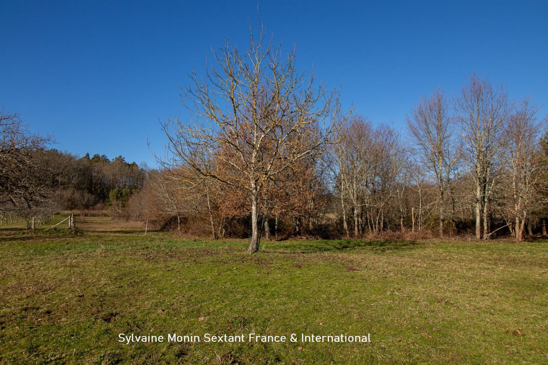 Perumahan di Mayac, Nouvelle-Aquitaine 12871259