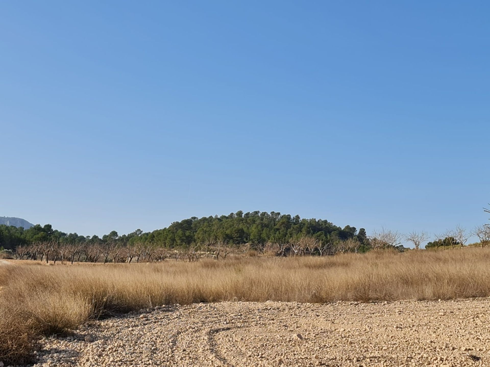 Будинок в Abanilla, Región de Murcia 12871670