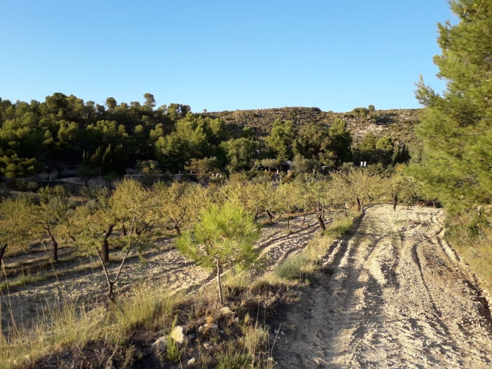 loger dans La Torre de les Maçanes, Comunidad Valenciana 12871821