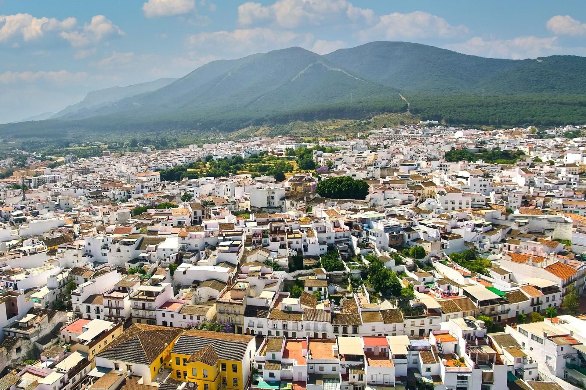 σπίτι σε Alhaurín el Grande, Andalucía 12872026