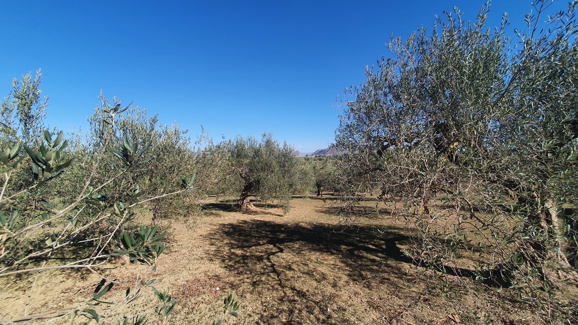 Haus im Alhaurín el Grande, Andalucía 12872035