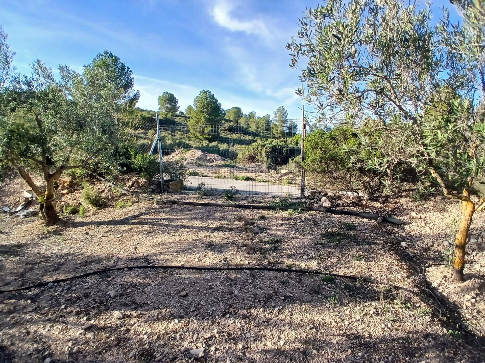 房子 在 Yecla, Región de Murcia 12872694