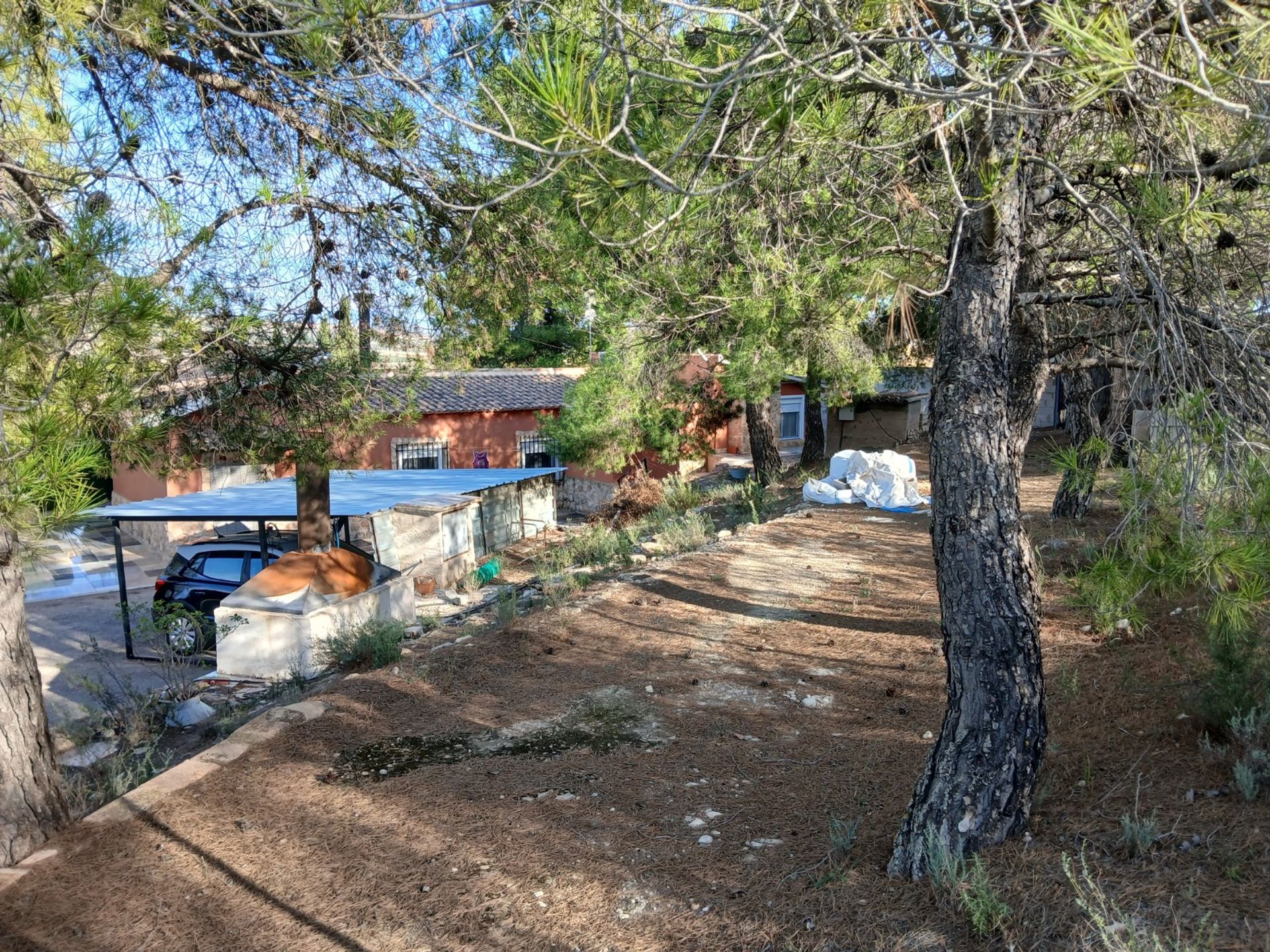 房子 在 Yecla, Región de Murcia 12872694