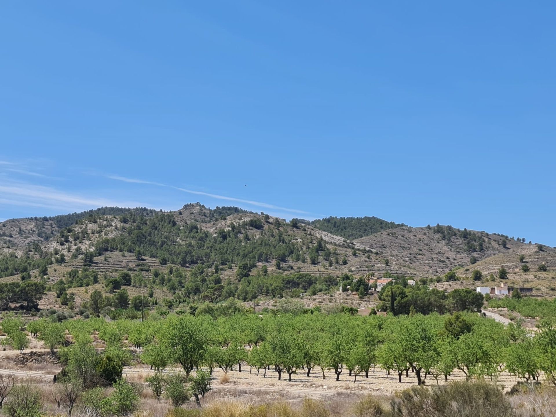 Hus i Monòver, Comunidad Valenciana 12872823