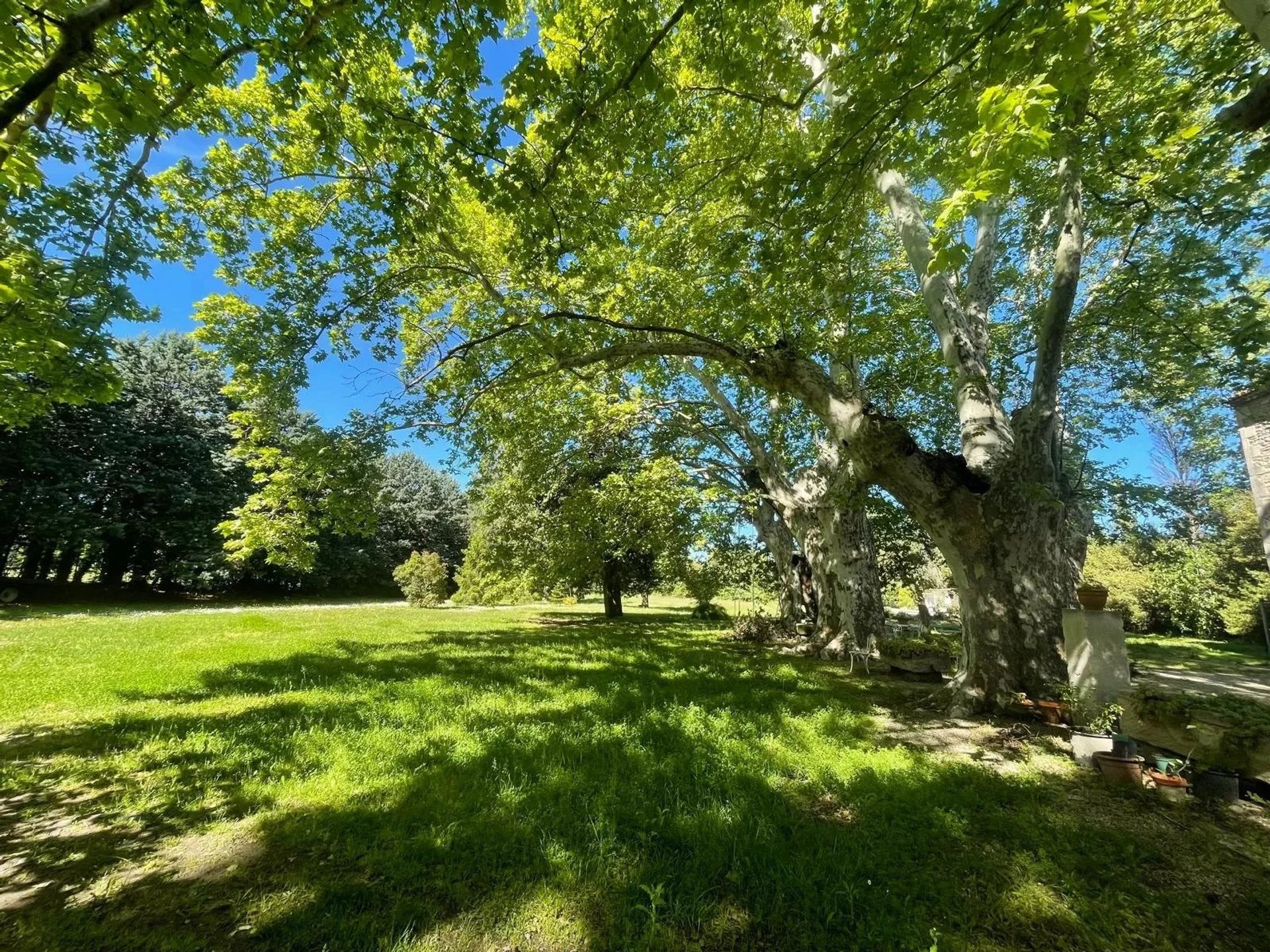 Muu sisään Saint-Rémy-de-Provence, Bouches-du-Rhône 12873263