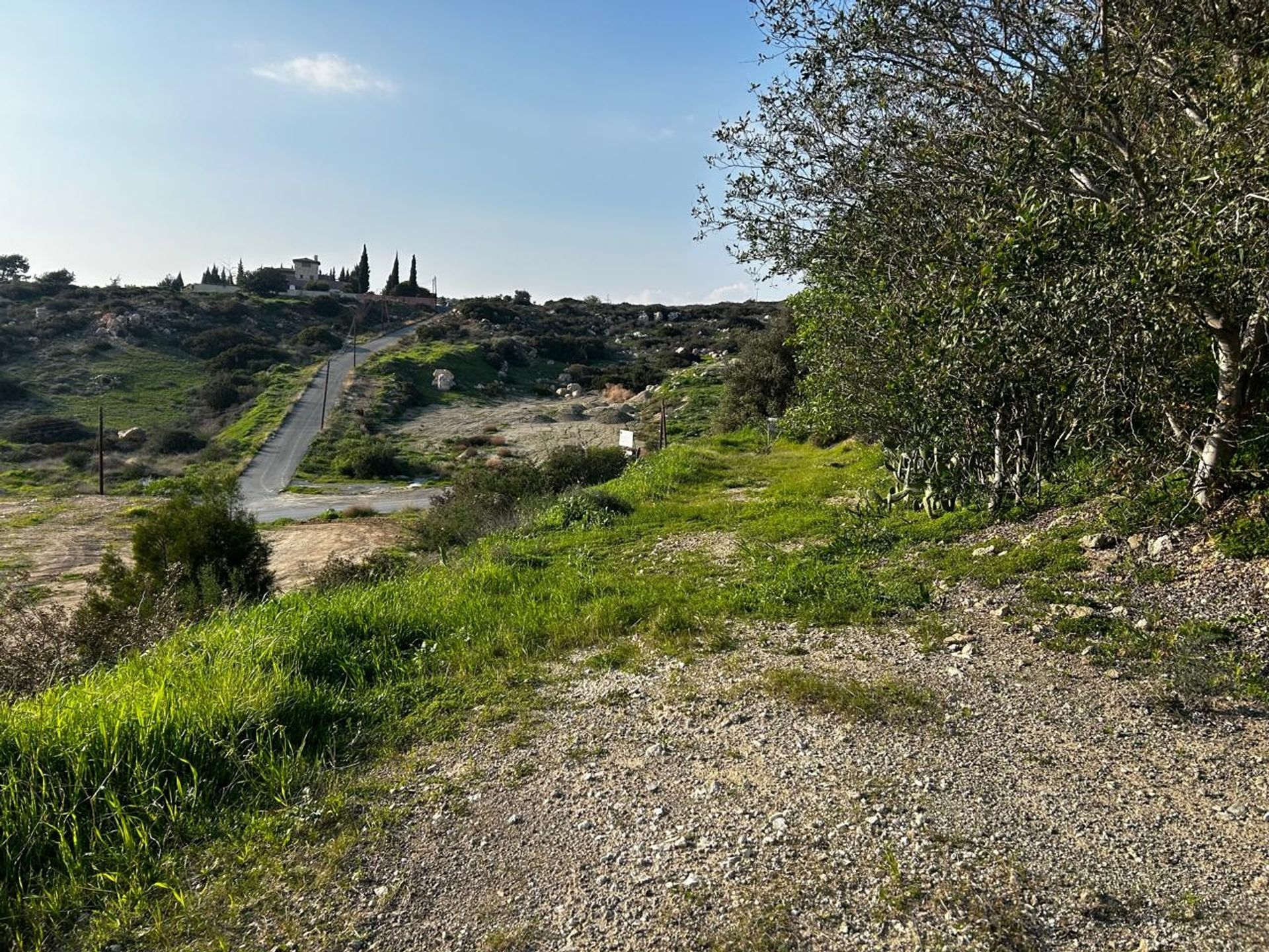 Tanah dalam Pyrgos, Larnaka 12873587