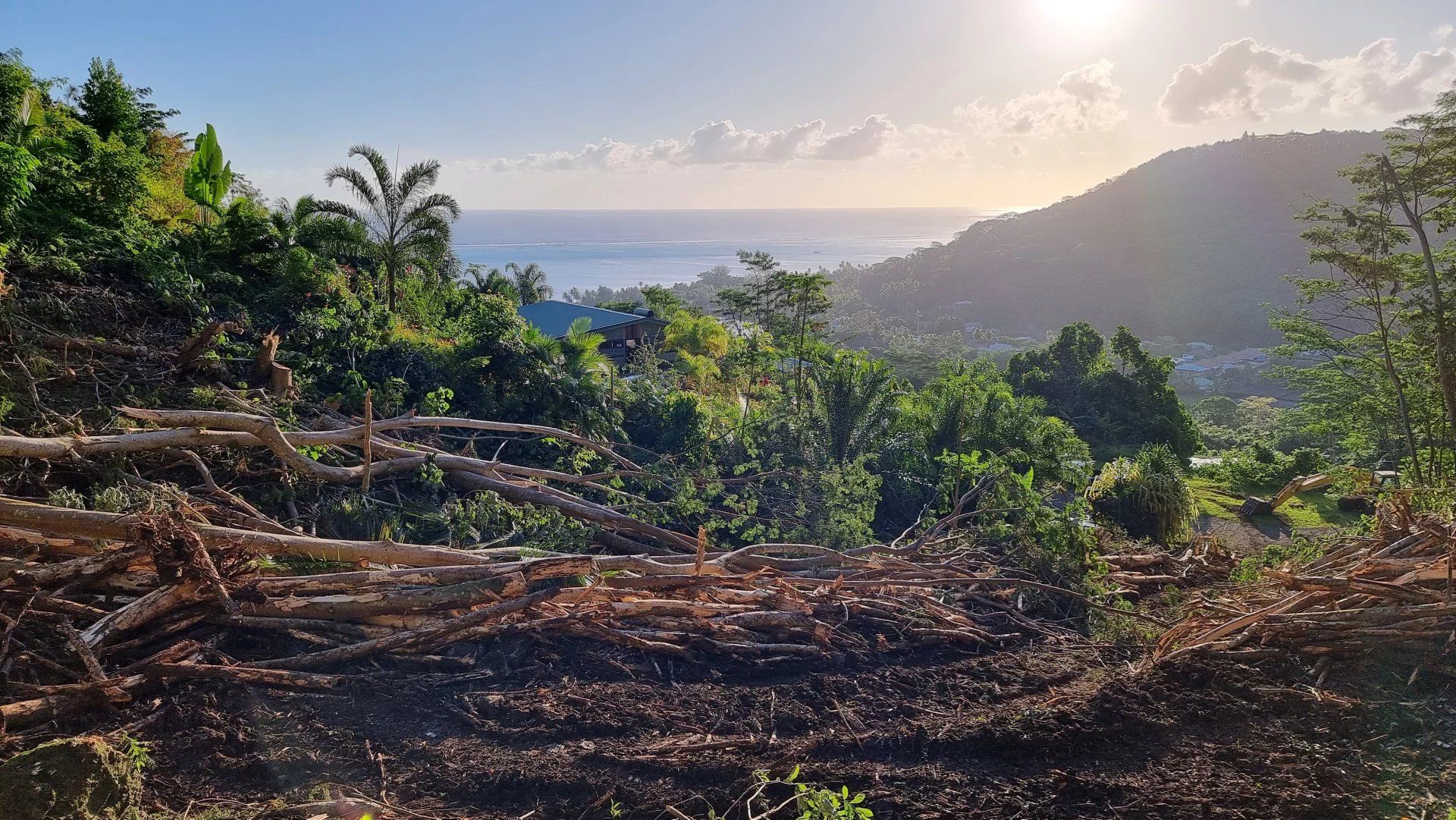 Jord i Papeete, Îles du Vent 12874954