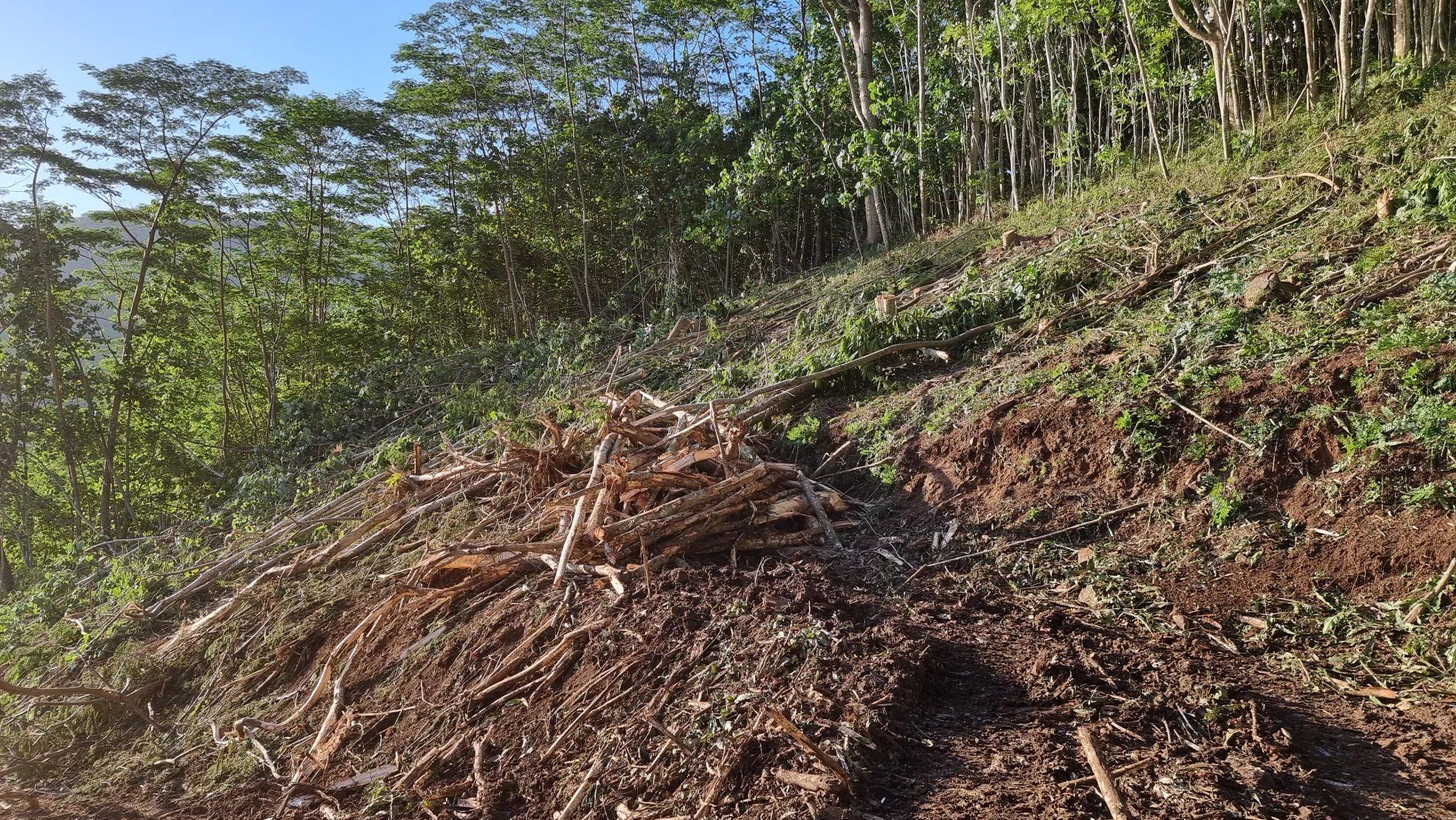 Jord i Papeete, Îles du Vent 12874954