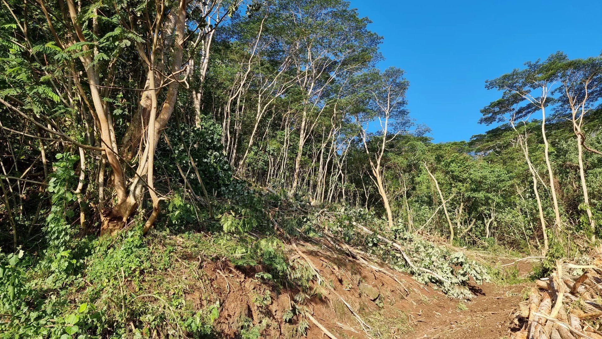 Jord i Papeete, Îles du Vent 12874954