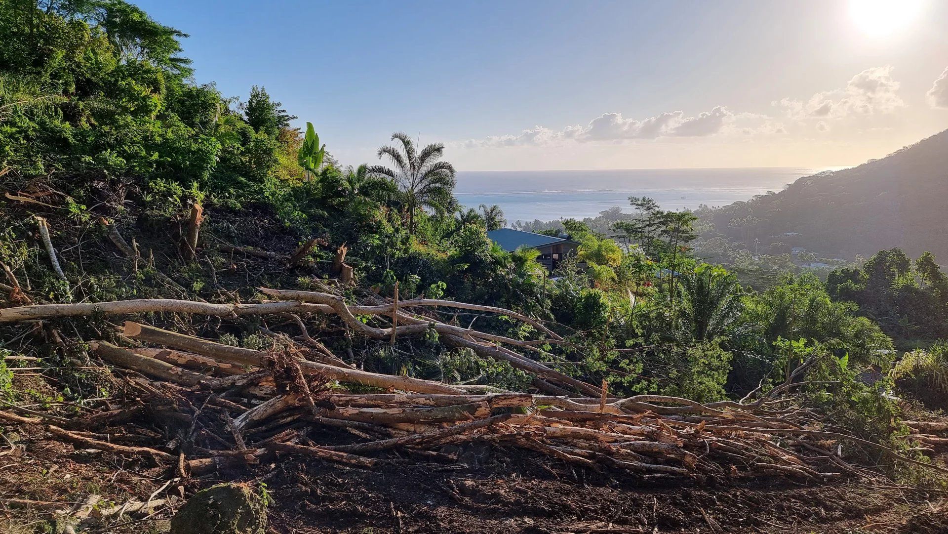 Jord i Papeete, Îles du Vent 12874954